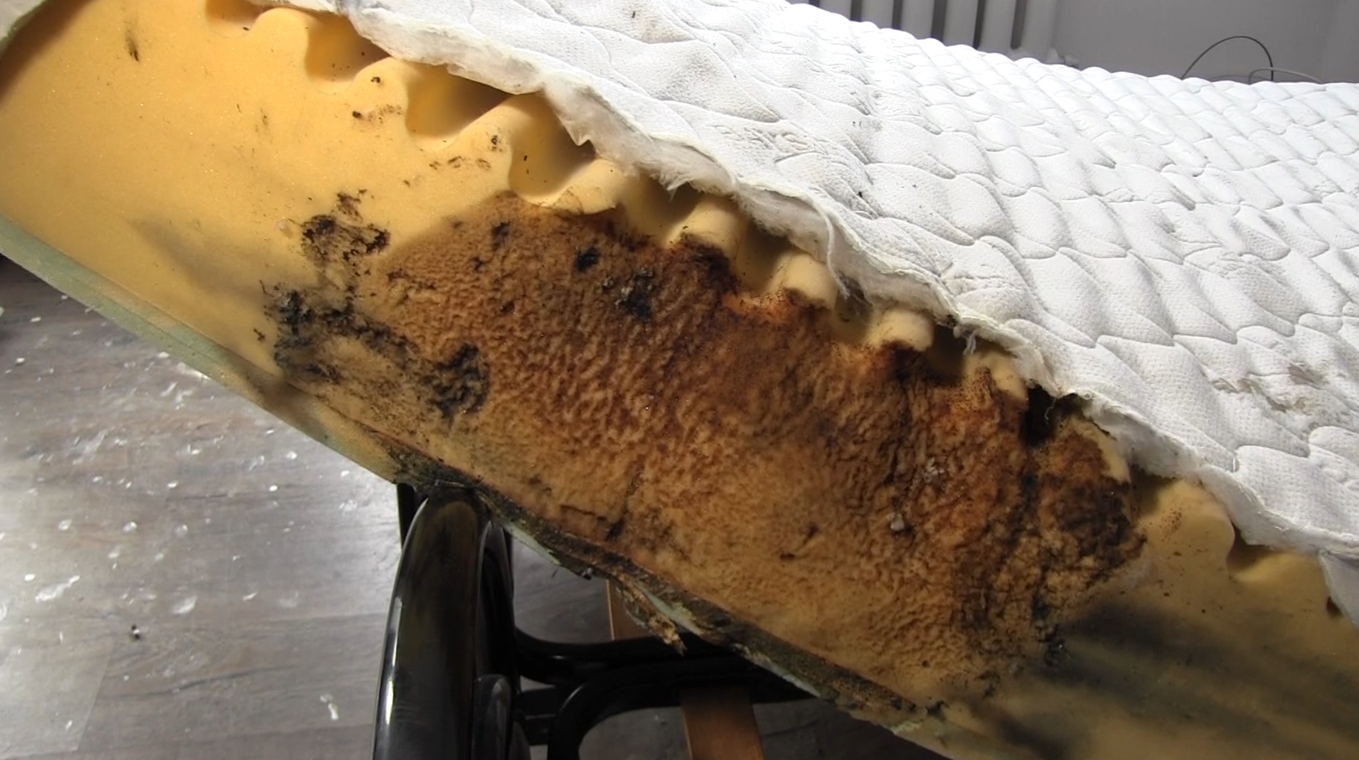 Captură ecran (2647)