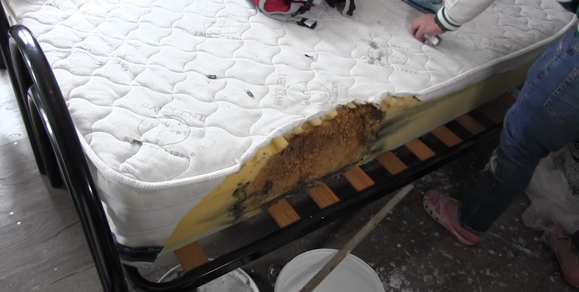 Captură ecran (2636)