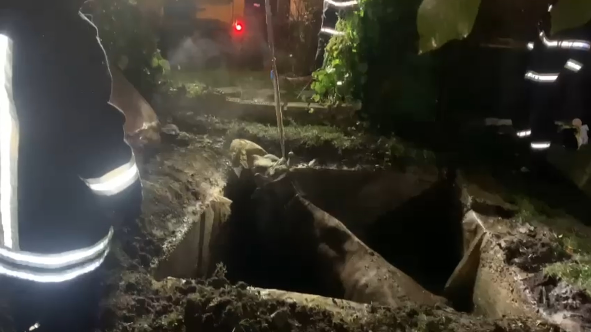 Captură ecran (2689)