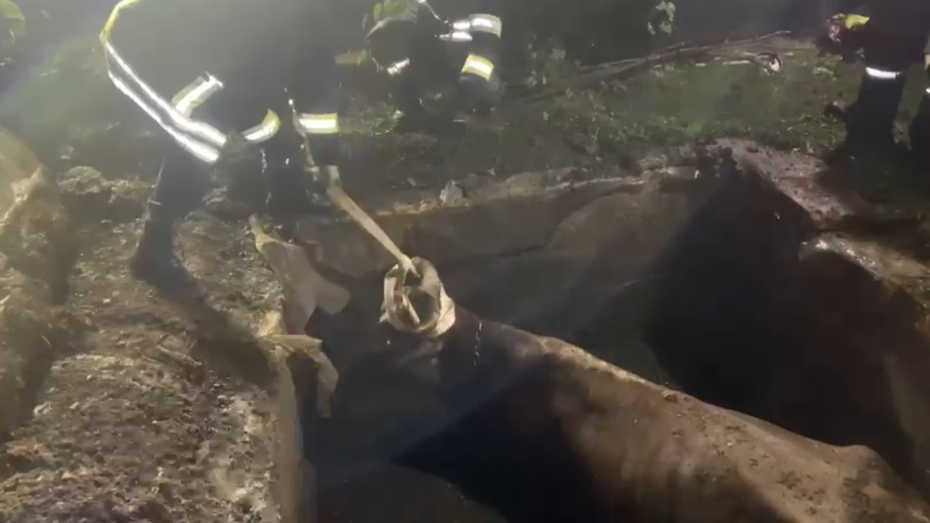 Captură ecran (2686)