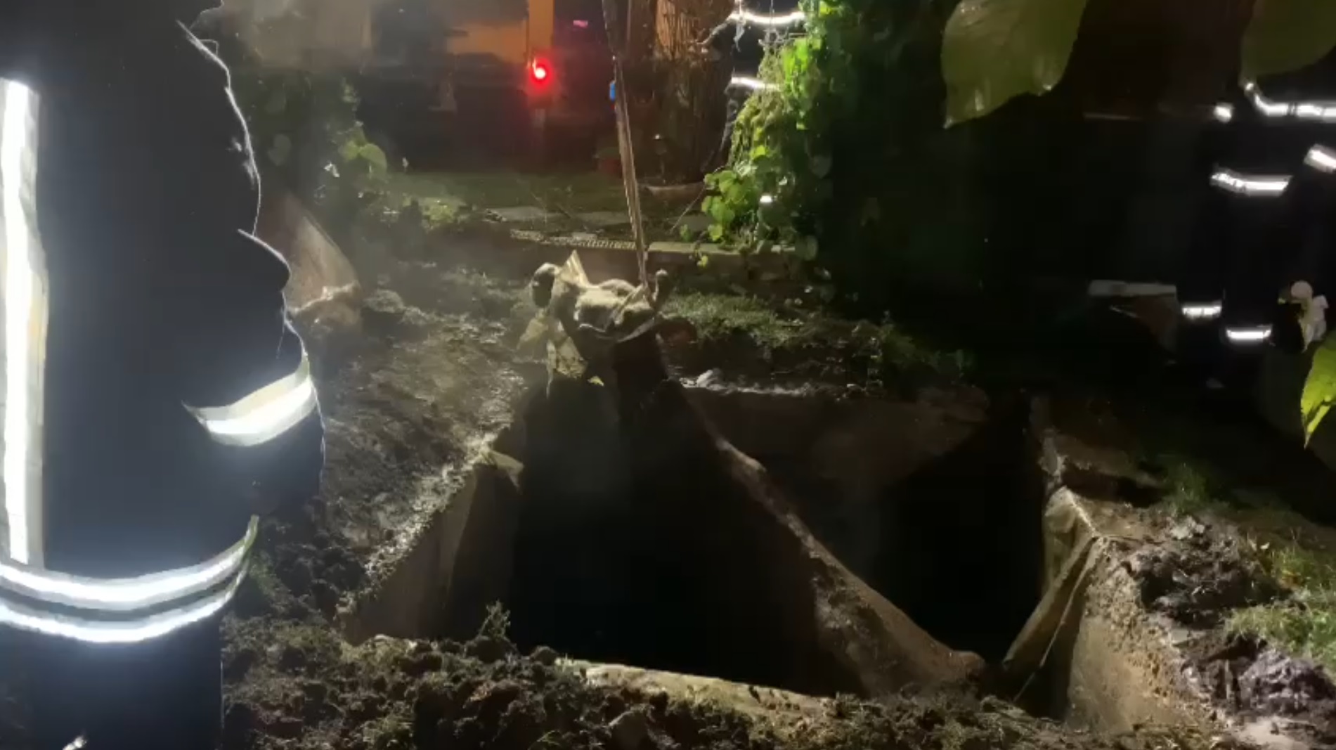 Captură ecran (2684)