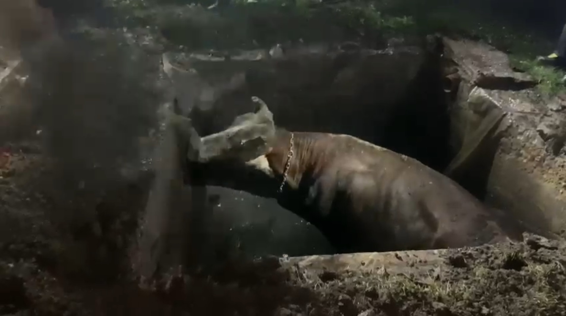 Captură ecran (2685)