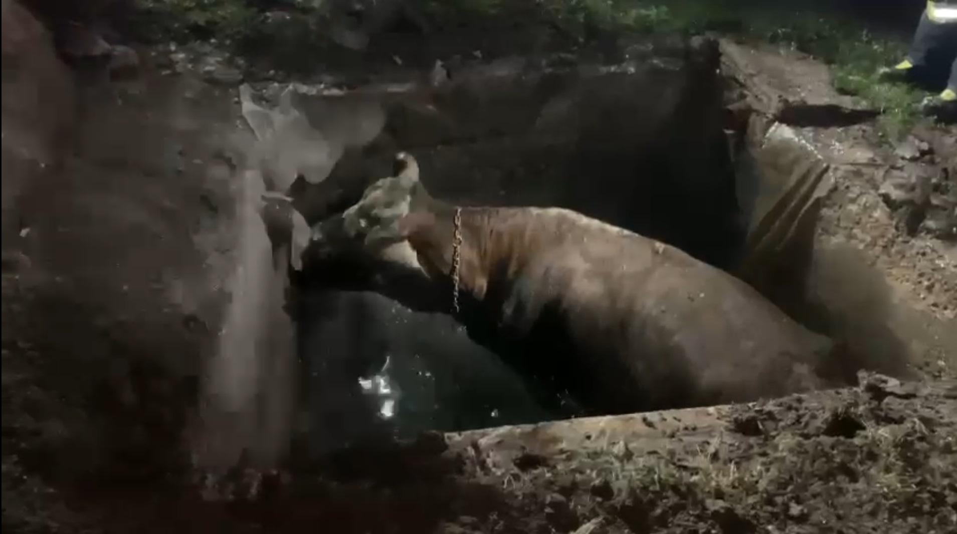 Captură ecran (2680)