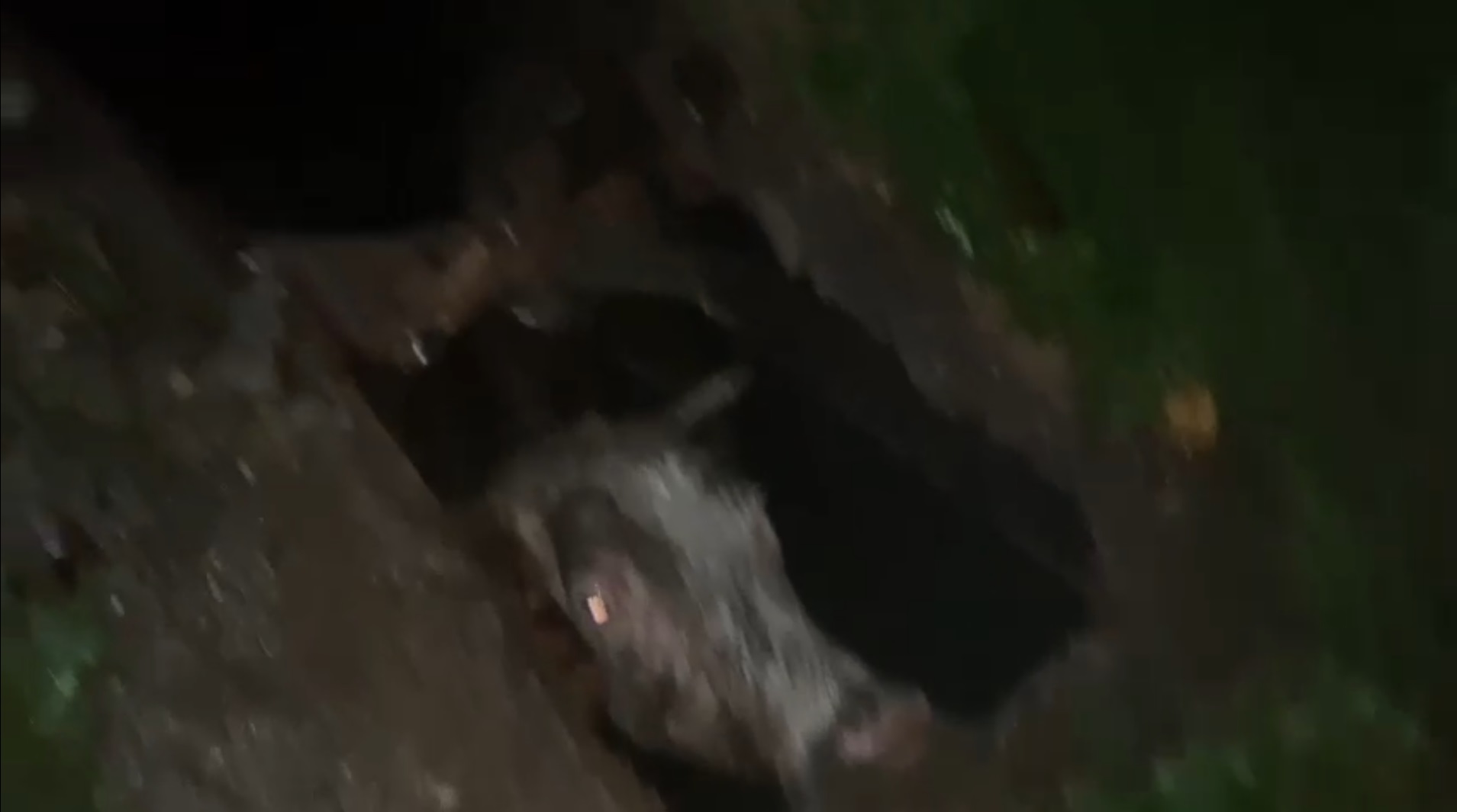 Captură ecran (2674)