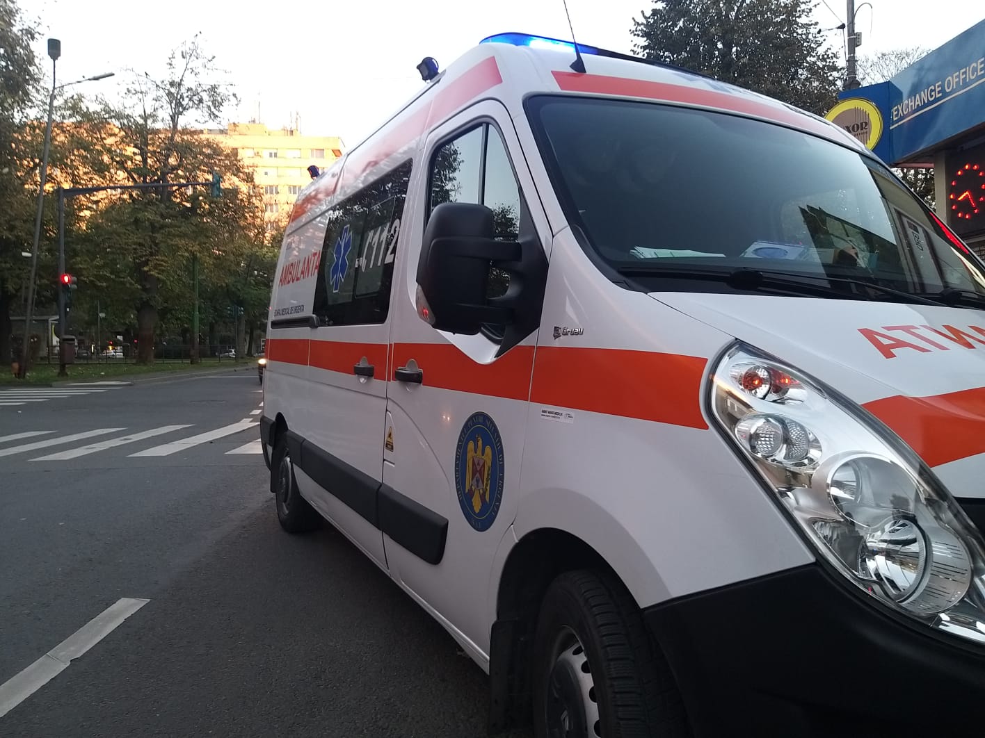 WhatsApp Image 2023-11-12 at 16.58.13 (1)