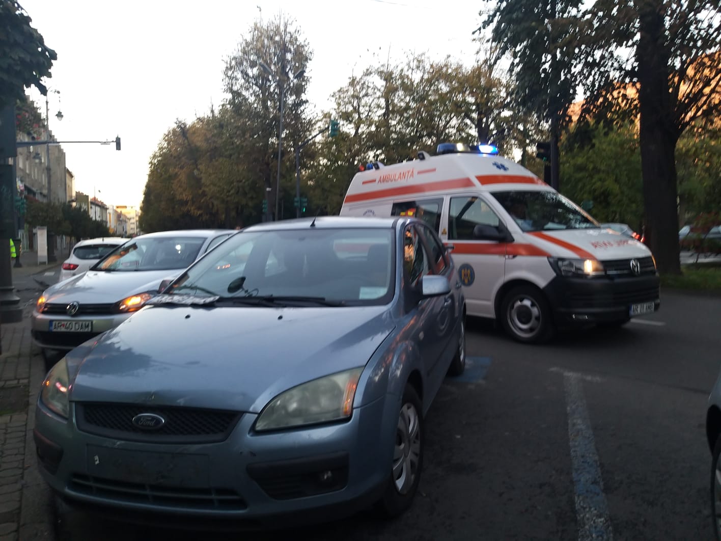 WhatsApp Image 2023-11-12 at 16.58.08