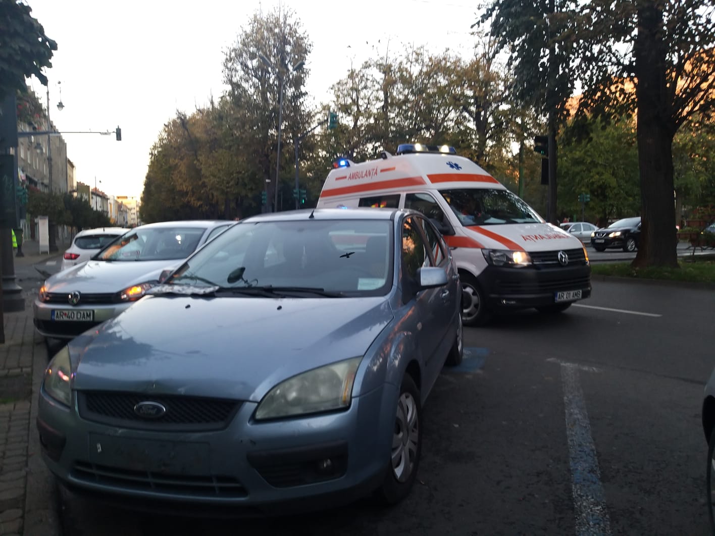 WhatsApp Image 2023-11-12 at 16.58.07