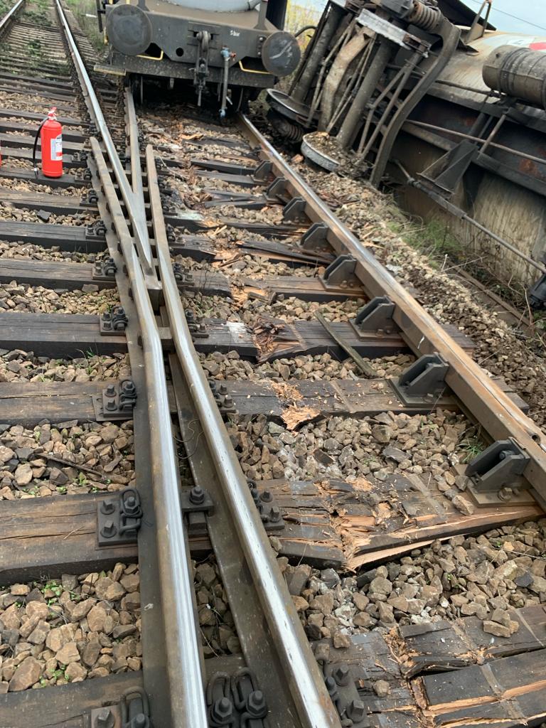 WhatsApp Image 2023-11-14 at 13.20.38 (1)