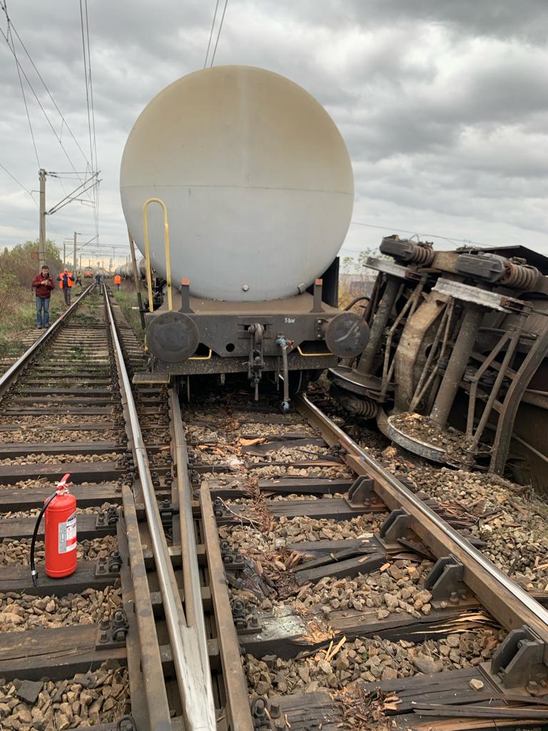 WhatsApp Image 2023-11-14 at 13.20.38