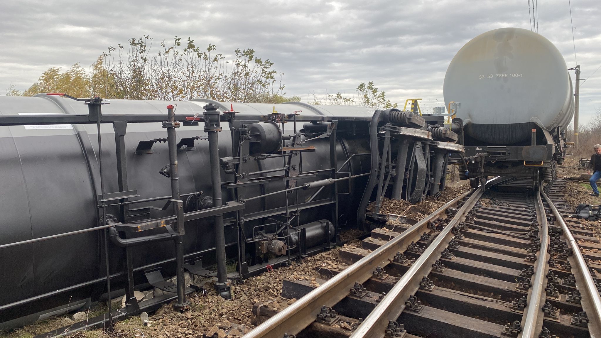 WhatsApp Image 2023-11-14 at 13.19.37