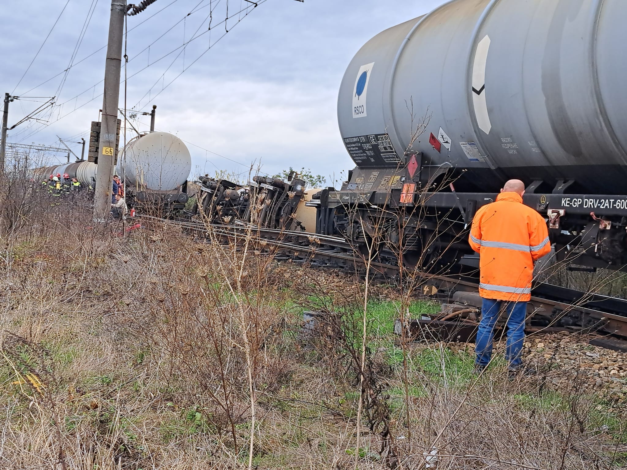 WhatsApp Image 2023-11-14 at 13.36.53 (3)