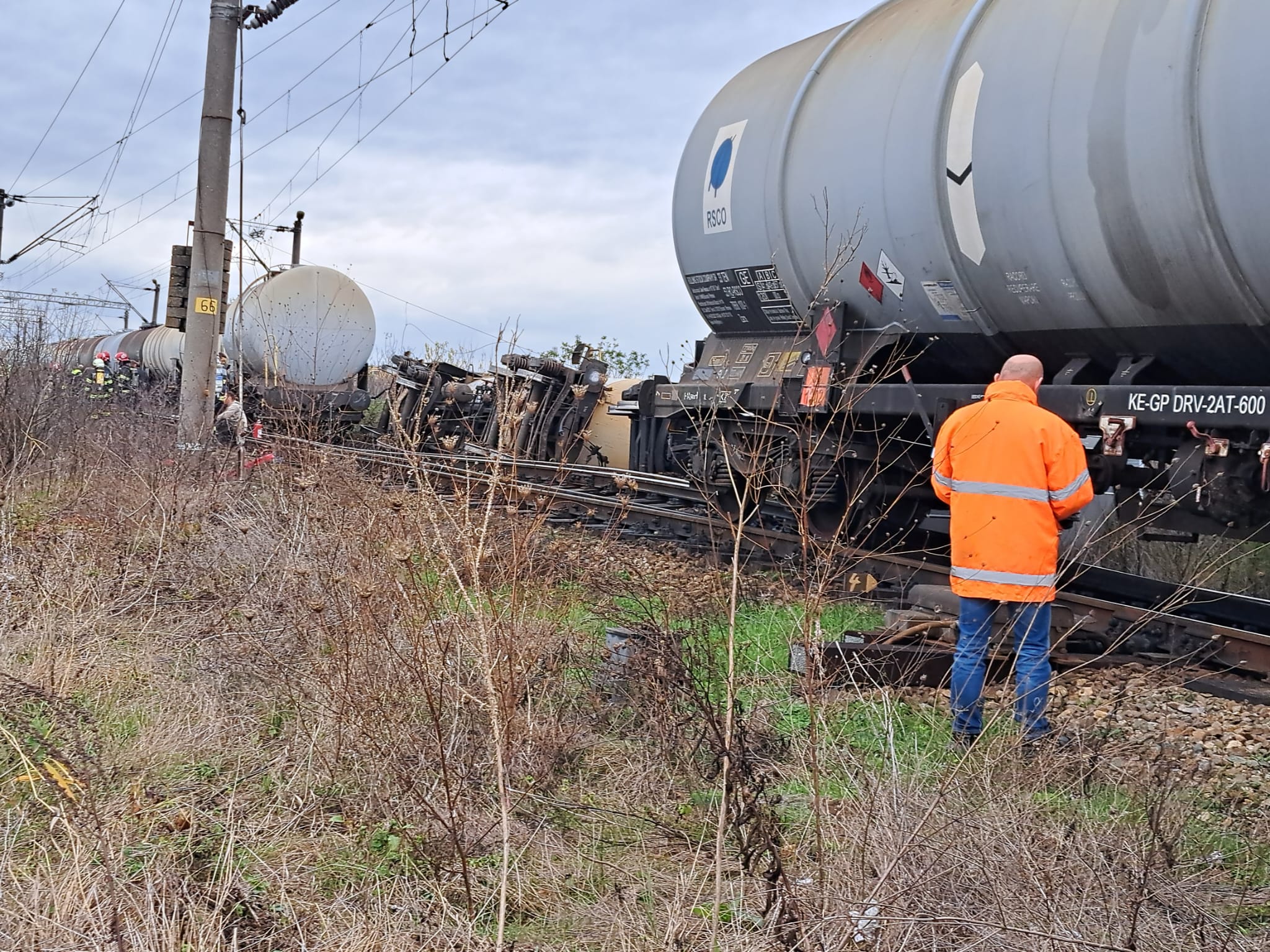 WhatsApp Image 2023-11-14 at 13.36.54