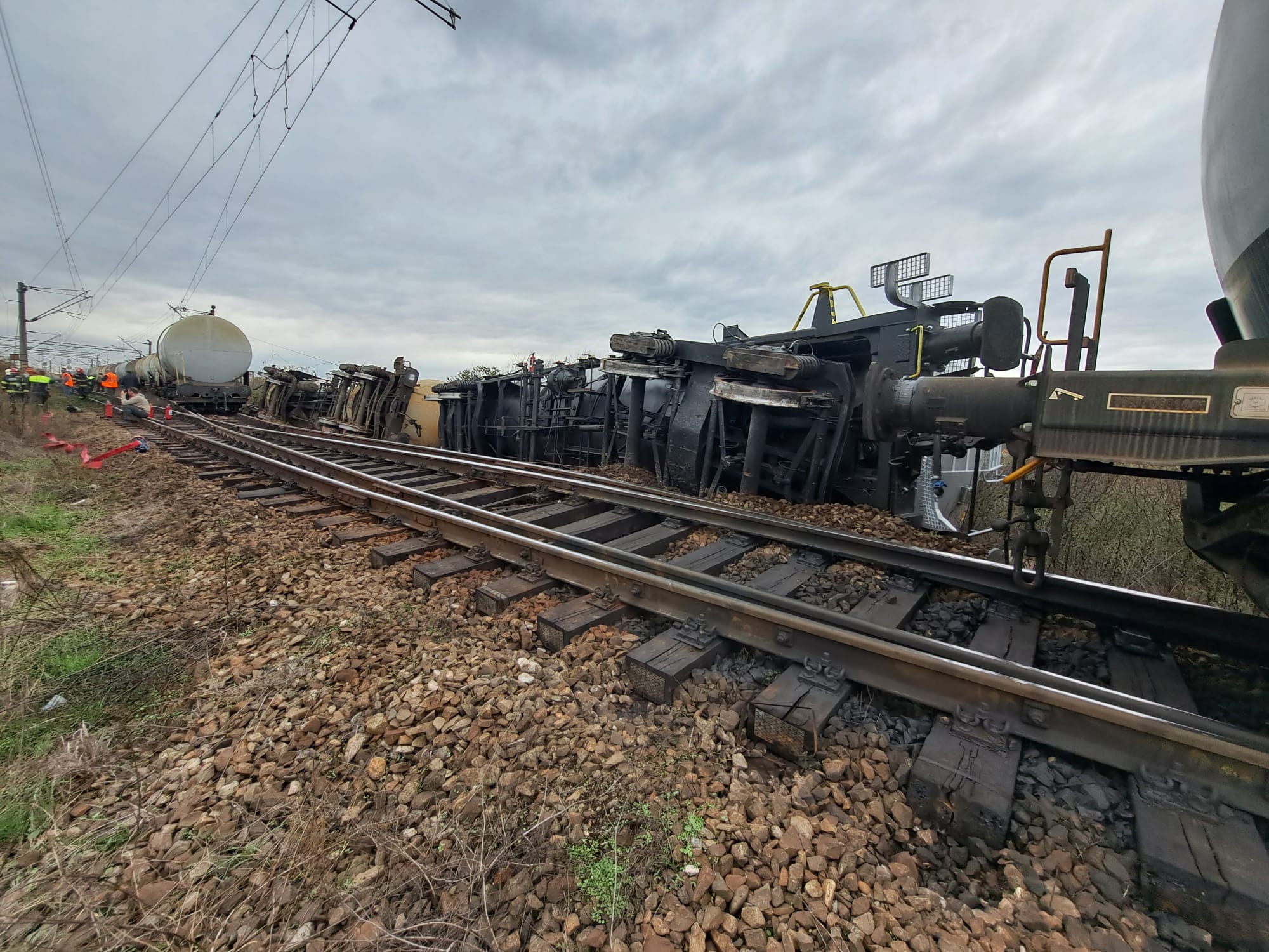 WhatsApp Image 2023-11-14 at 13.36.53 (1)