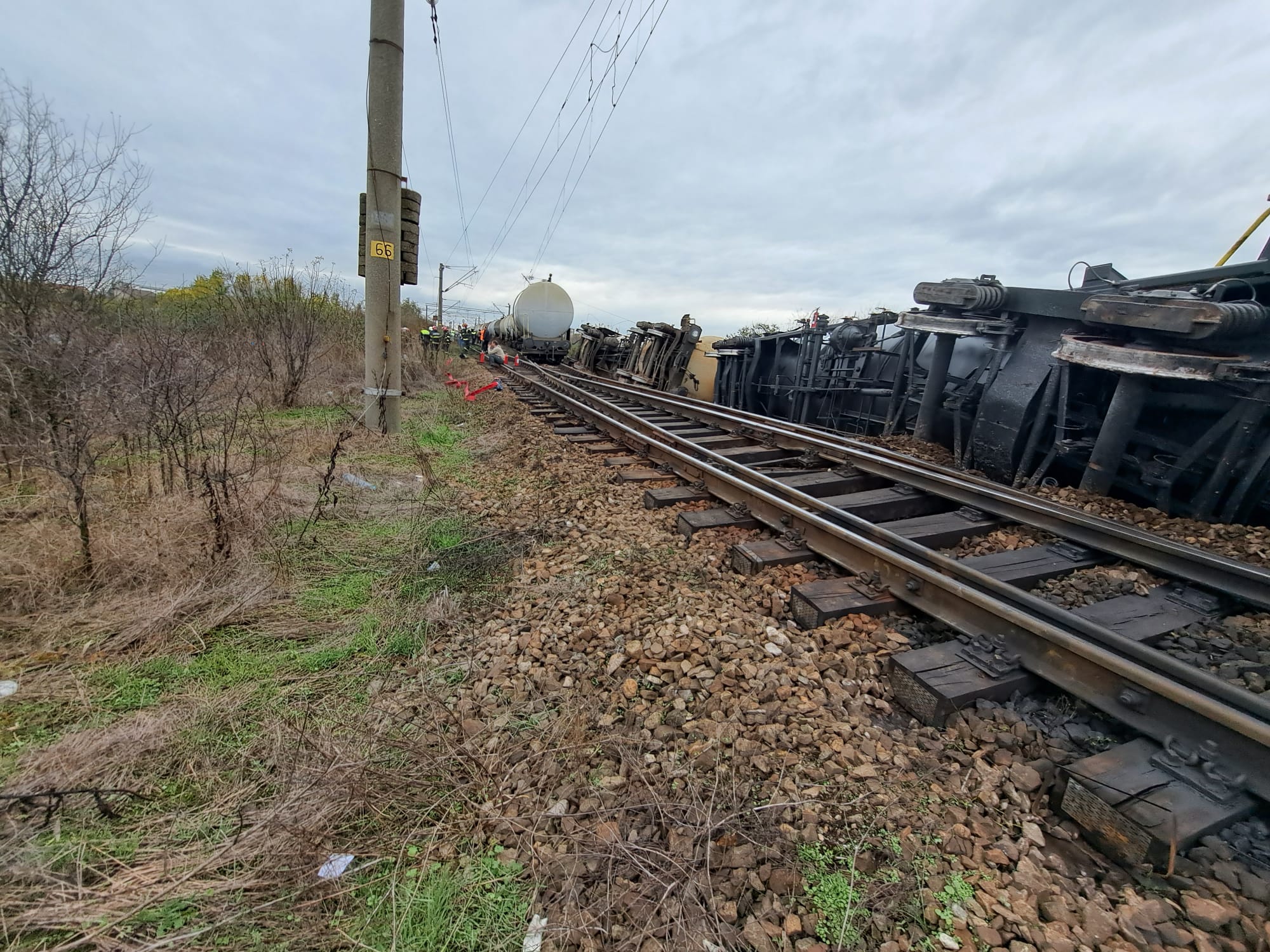 WhatsApp Image 2023-11-14 at 13.36.52