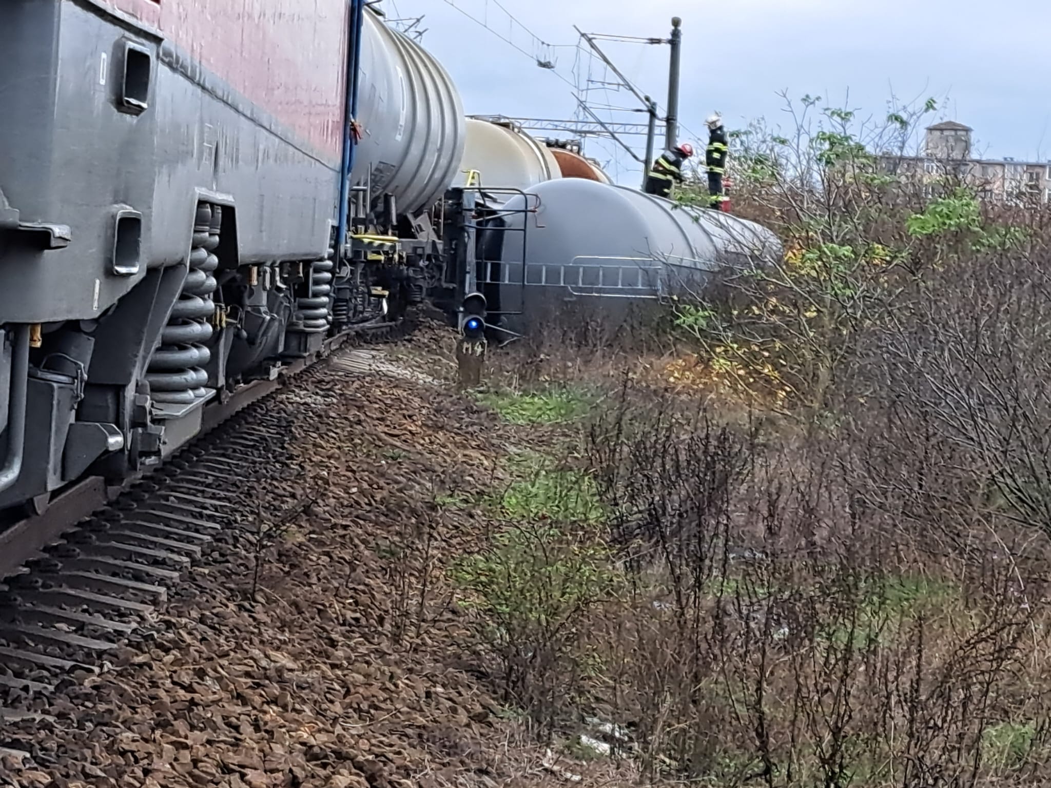 WhatsApp Image 2023-11-14 at 13.36.51