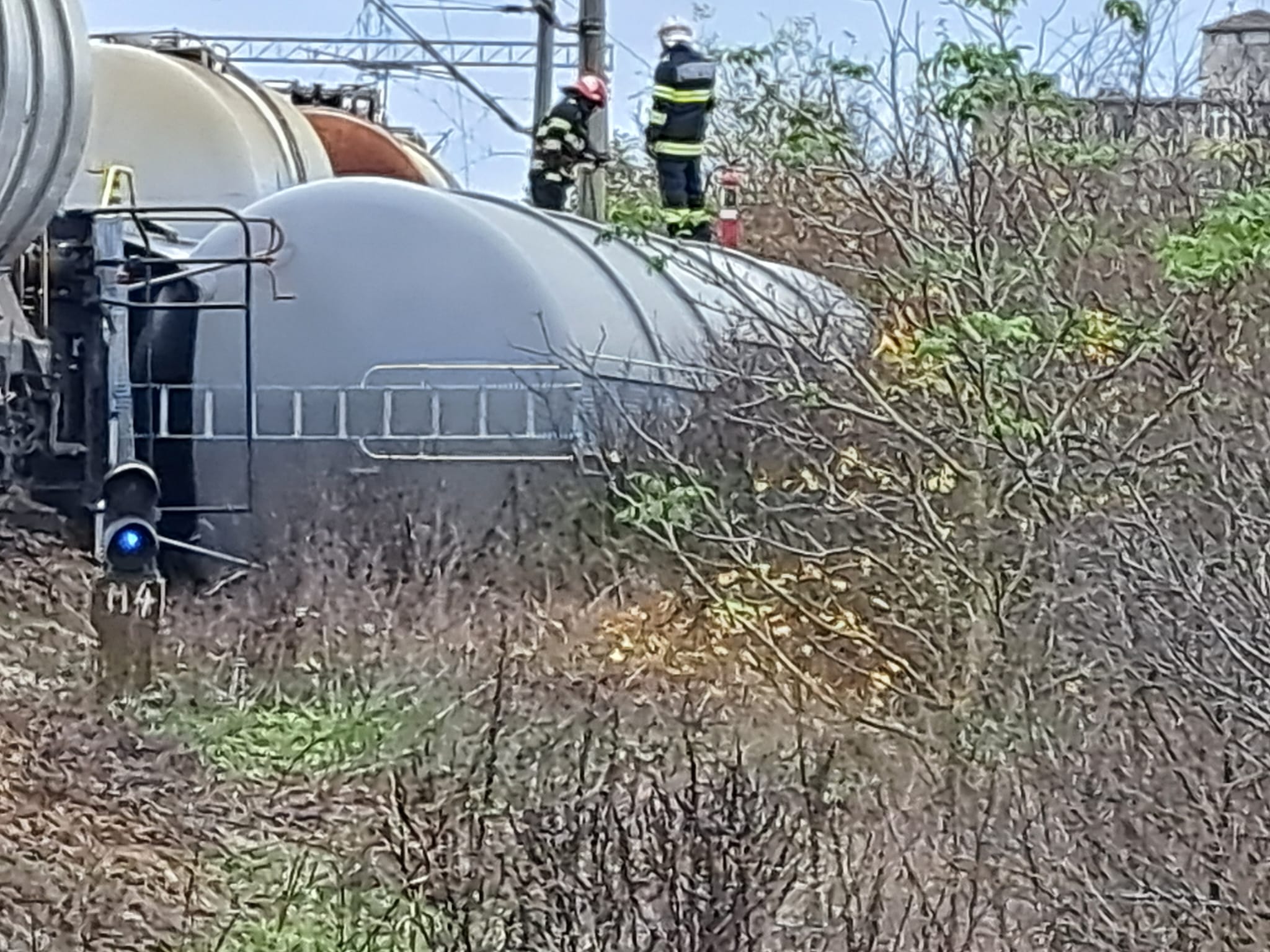 WhatsApp Image 2023-11-14 at 13.36.50