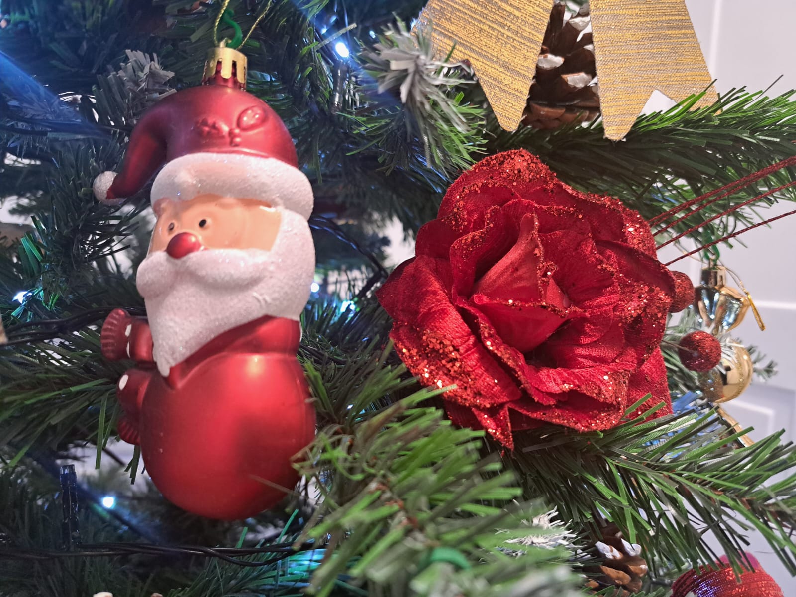 WhatsApp Image 2023-12-08 at 10.49.13