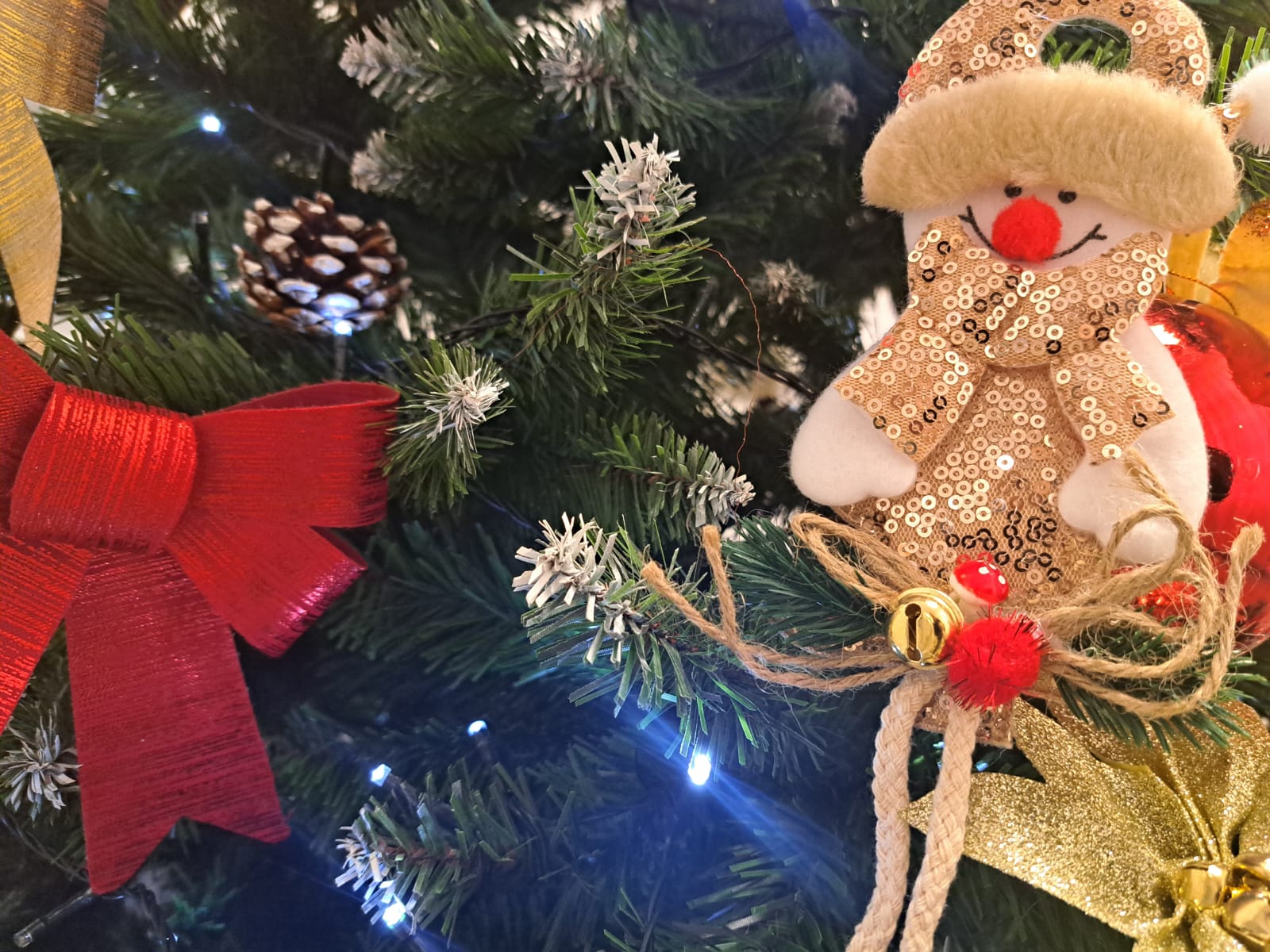 WhatsApp Image 2023-12-08 at 10.49.13 (1)