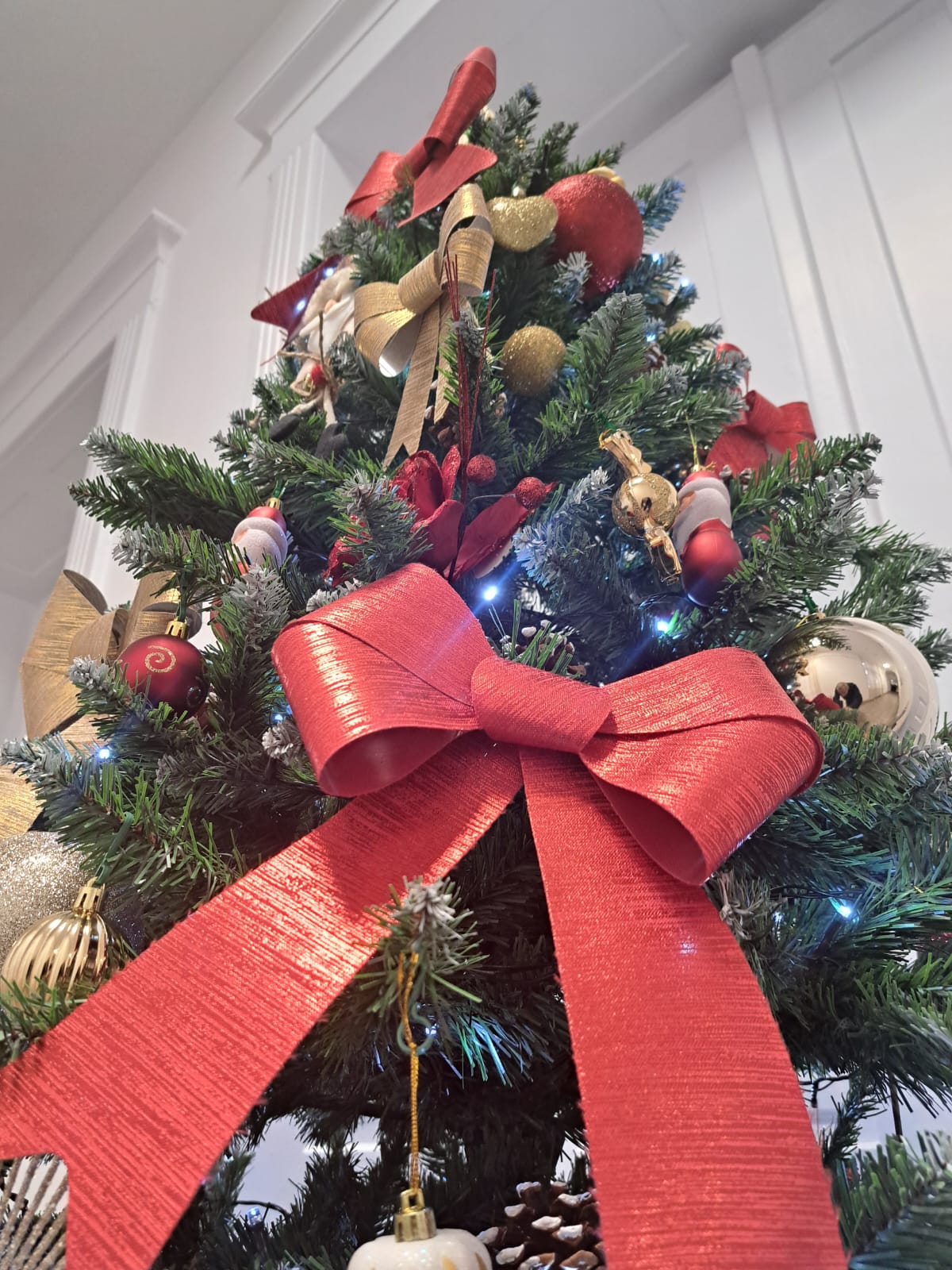 WhatsApp Image 2023-12-08 at 10.49.17 (1)