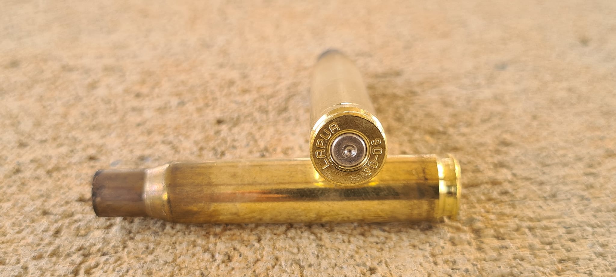 409533439_645039717842880_5471665787488445038_n