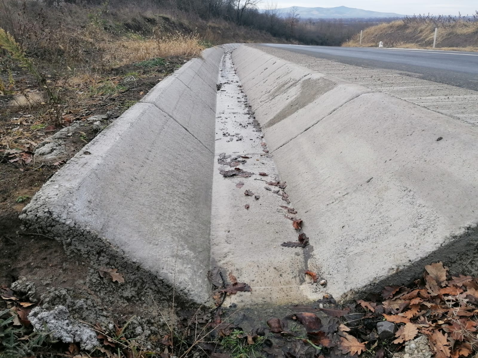 WhatsApp Image 2024-01-16 at 13.18.00