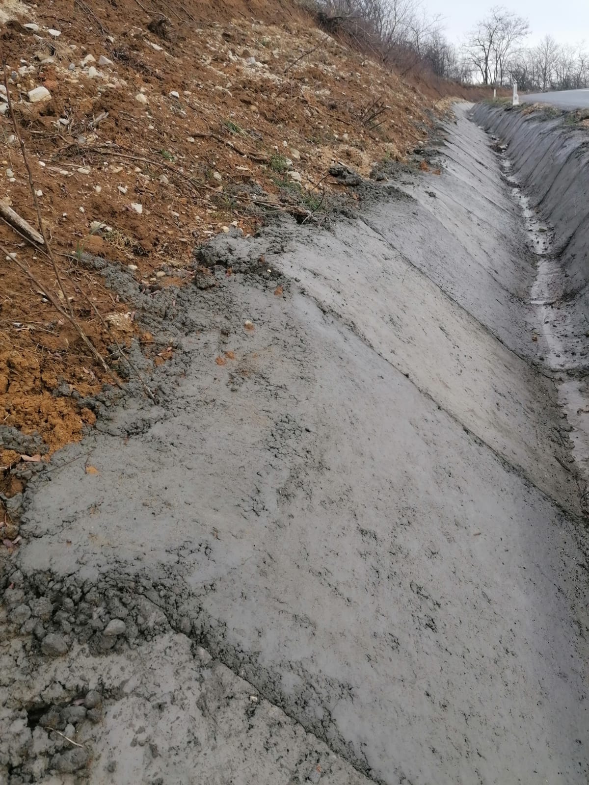 WhatsApp Image 2024-01-16 at 13.14.34