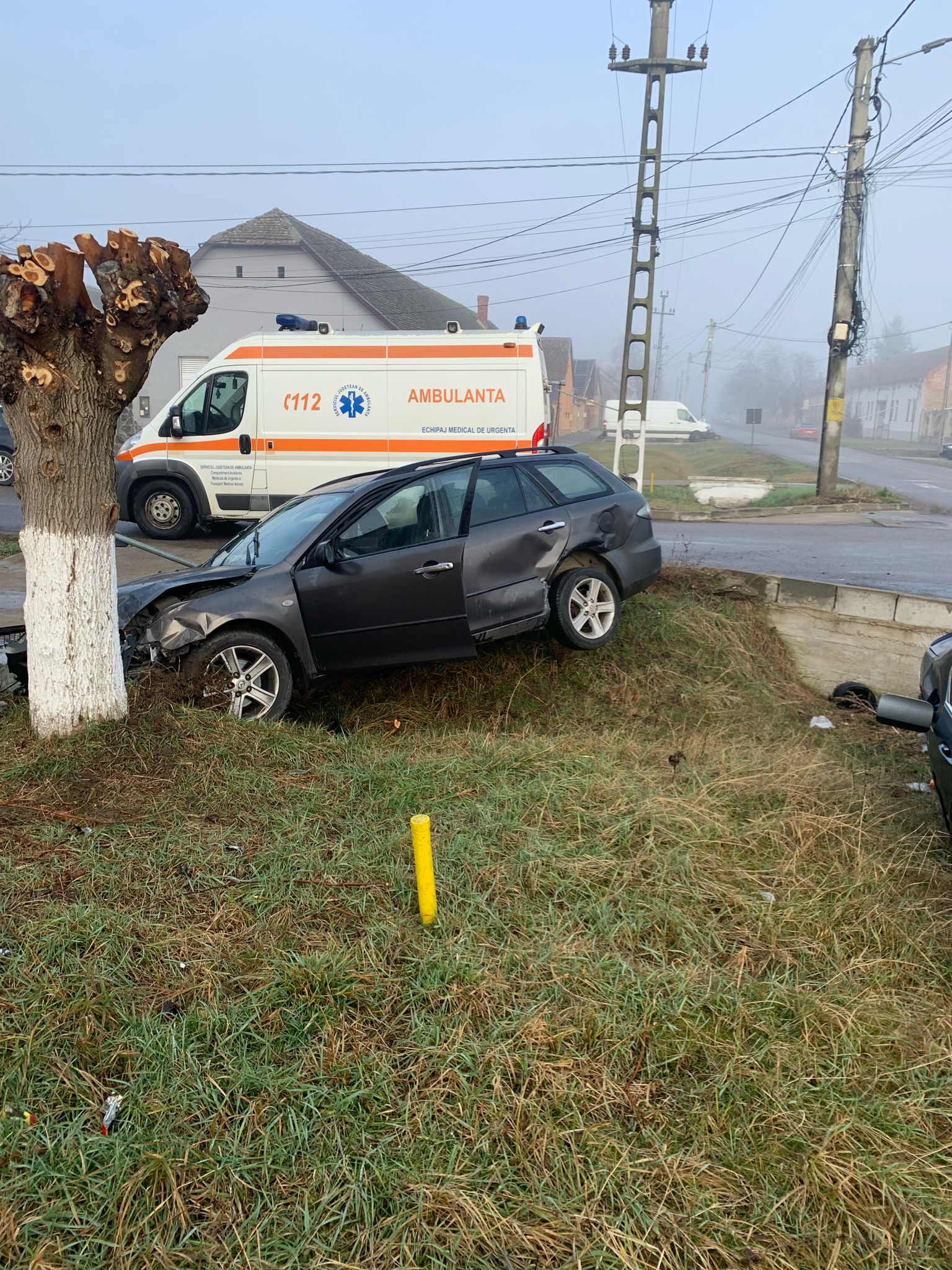 WhatsApp Image 2024-02-20 at 09.06.10