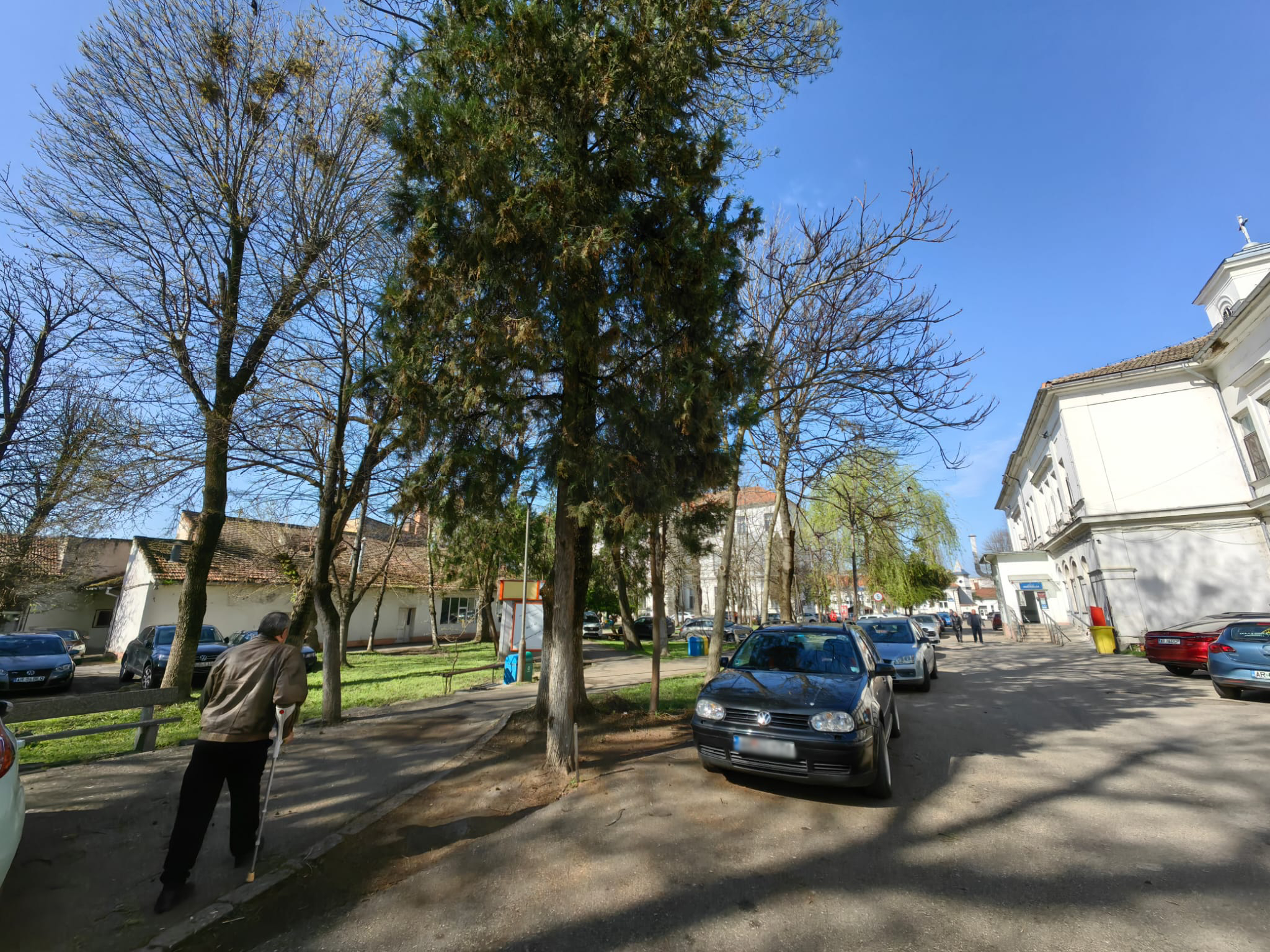 WhatsApp Image 2024-03-18 at 11.12.23