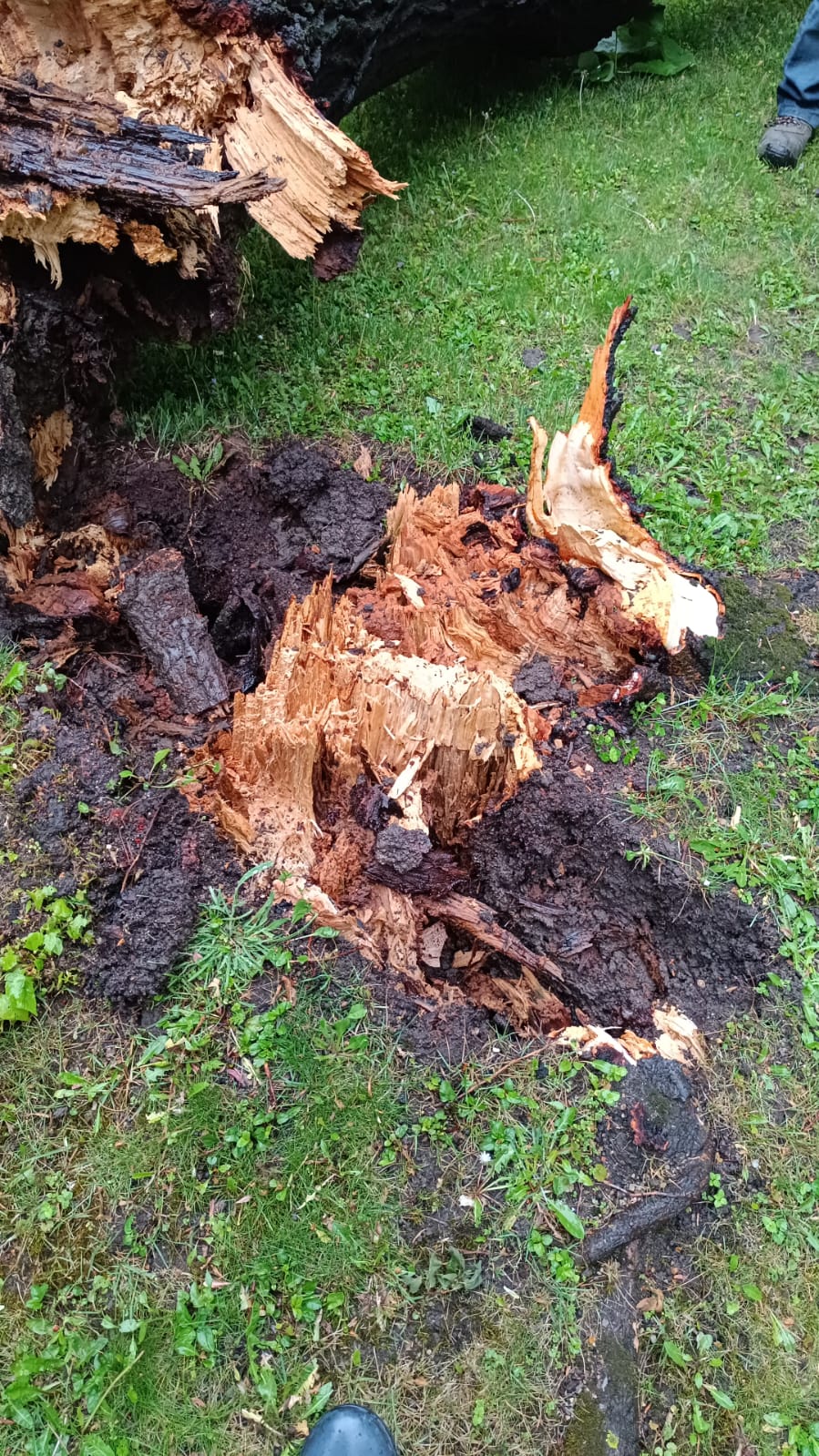 WhatsApp Image 2024-04-17 at 09.03.26