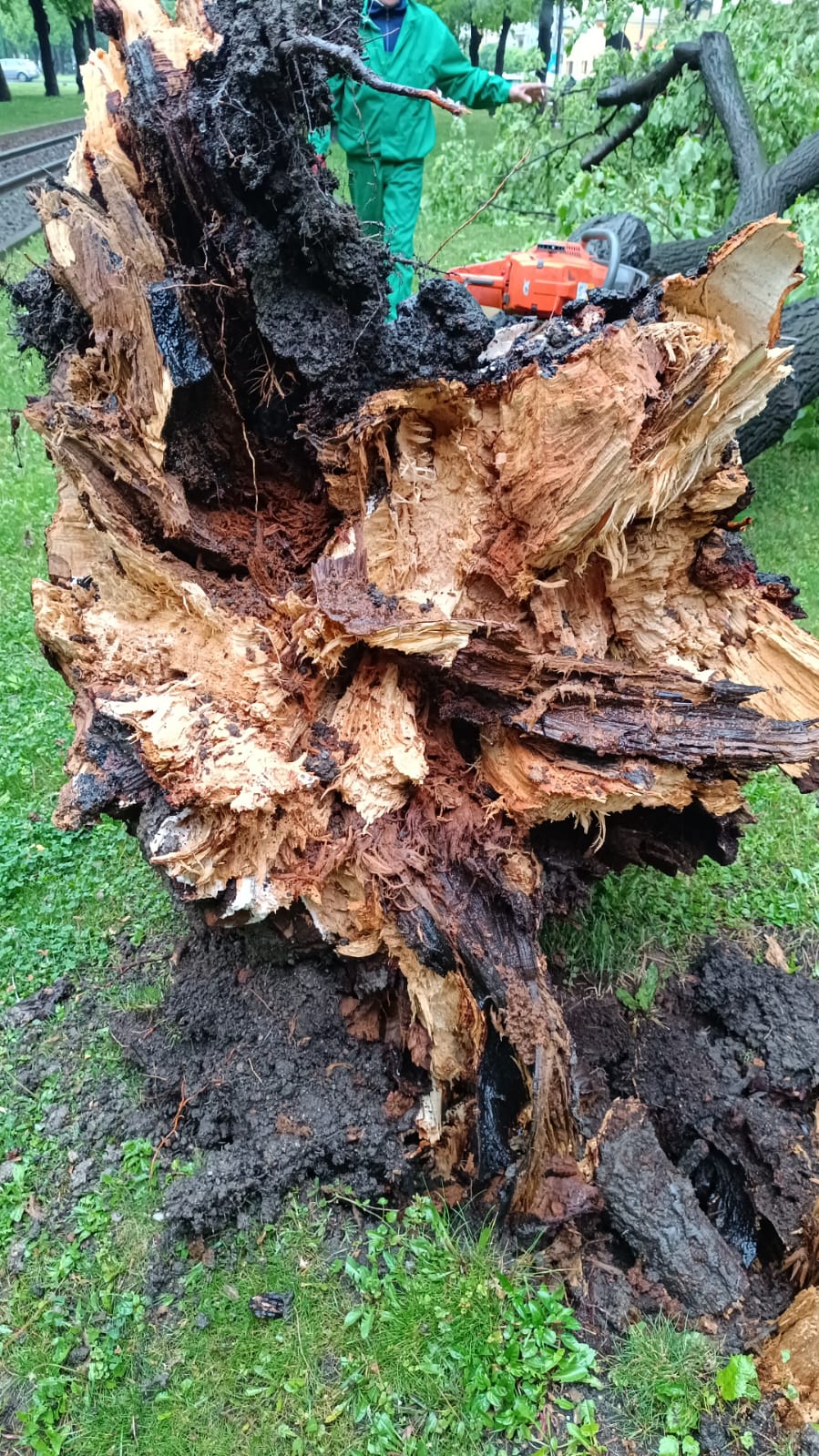 WhatsApp Image 2024-04-17 at 09.03.25