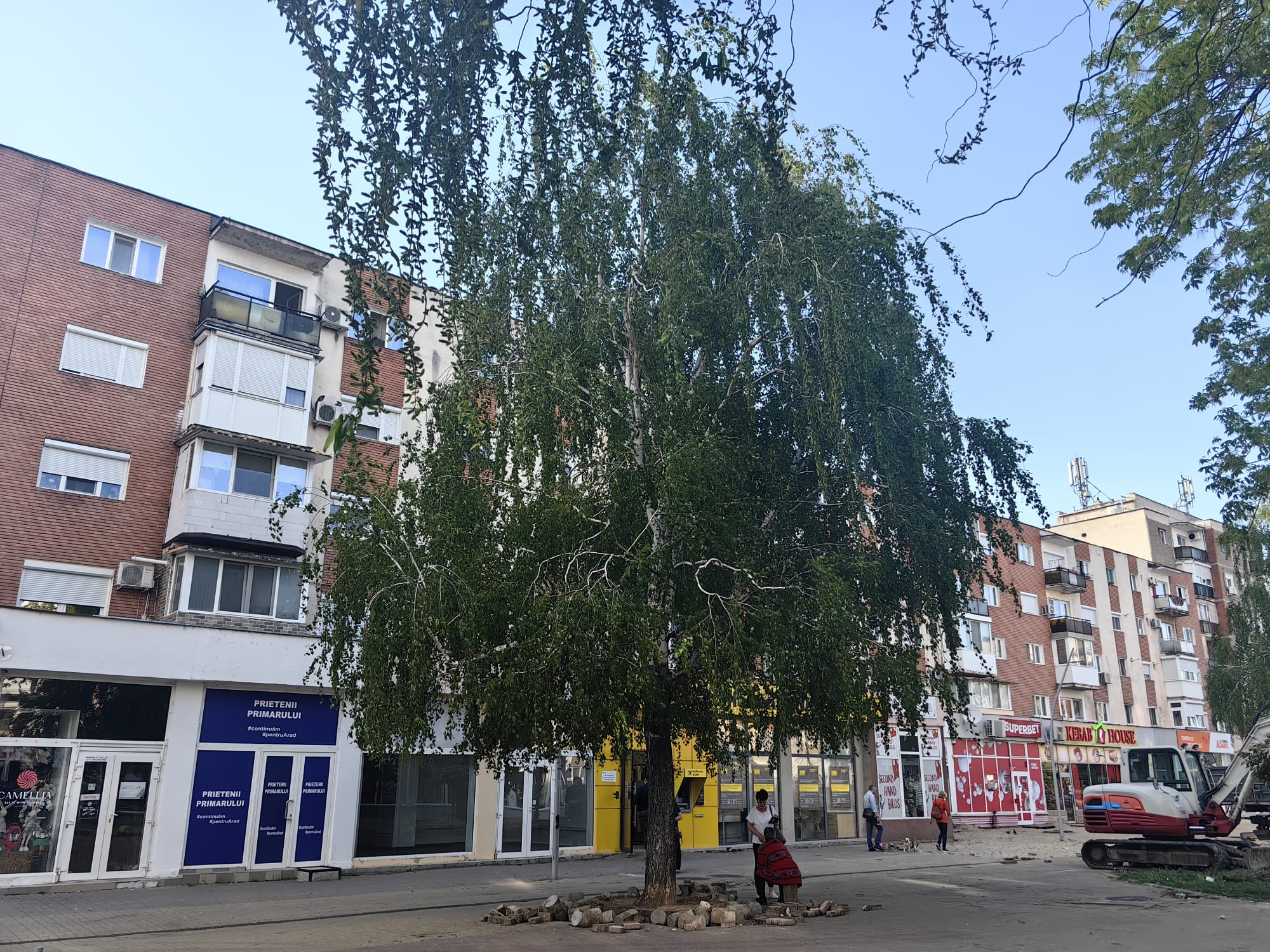 WhatsApp Image 2024-04-17 at 11.34.42 (3)