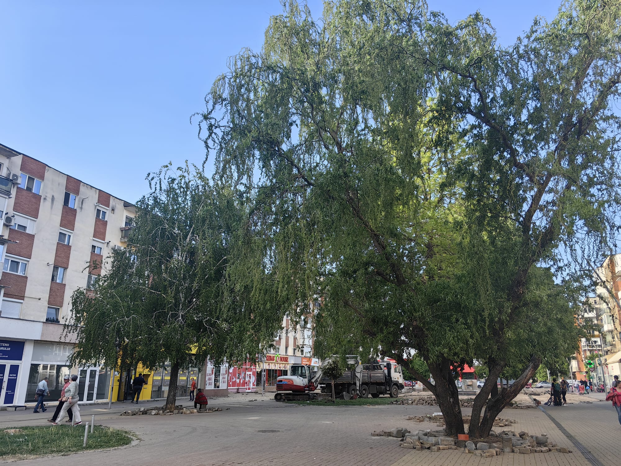 WhatsApp Image 2024-04-17 at 11.34.42 (4)