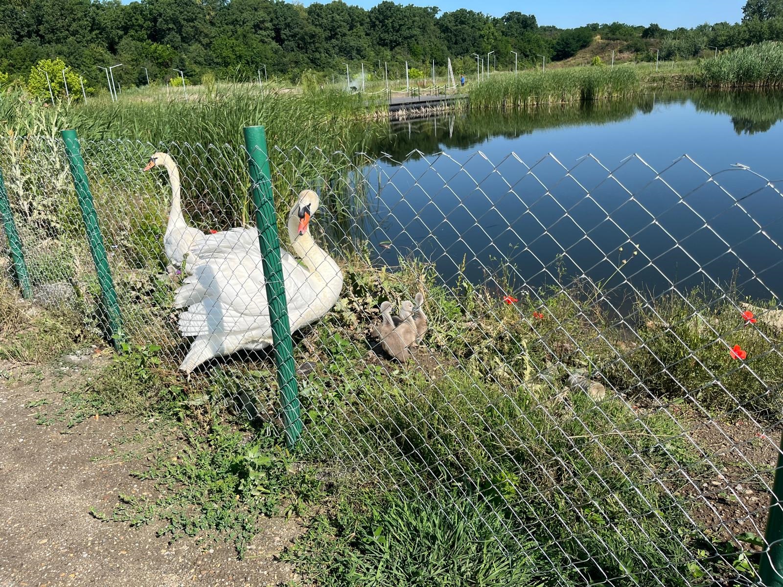 wf2af33f-f88a-4adc-8f1e-c935a9de7992