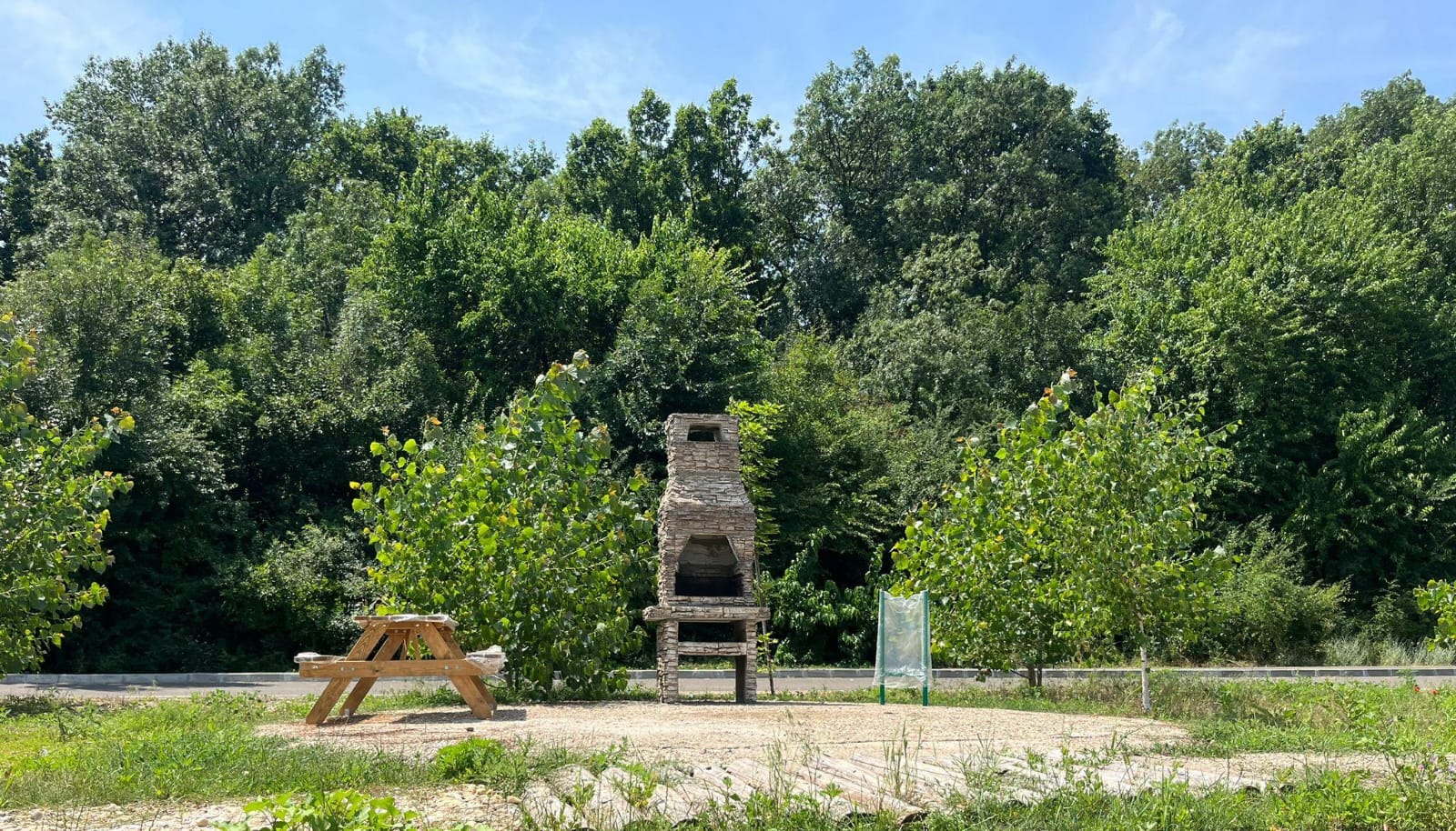 WhatsApp Image 2024-06-19 at 15.15.37