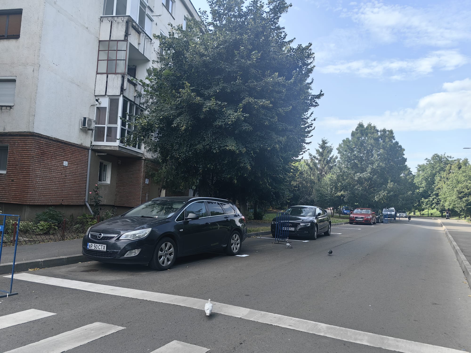 WhatsApp Image 2024-06-27 at 11.40.19 (3)