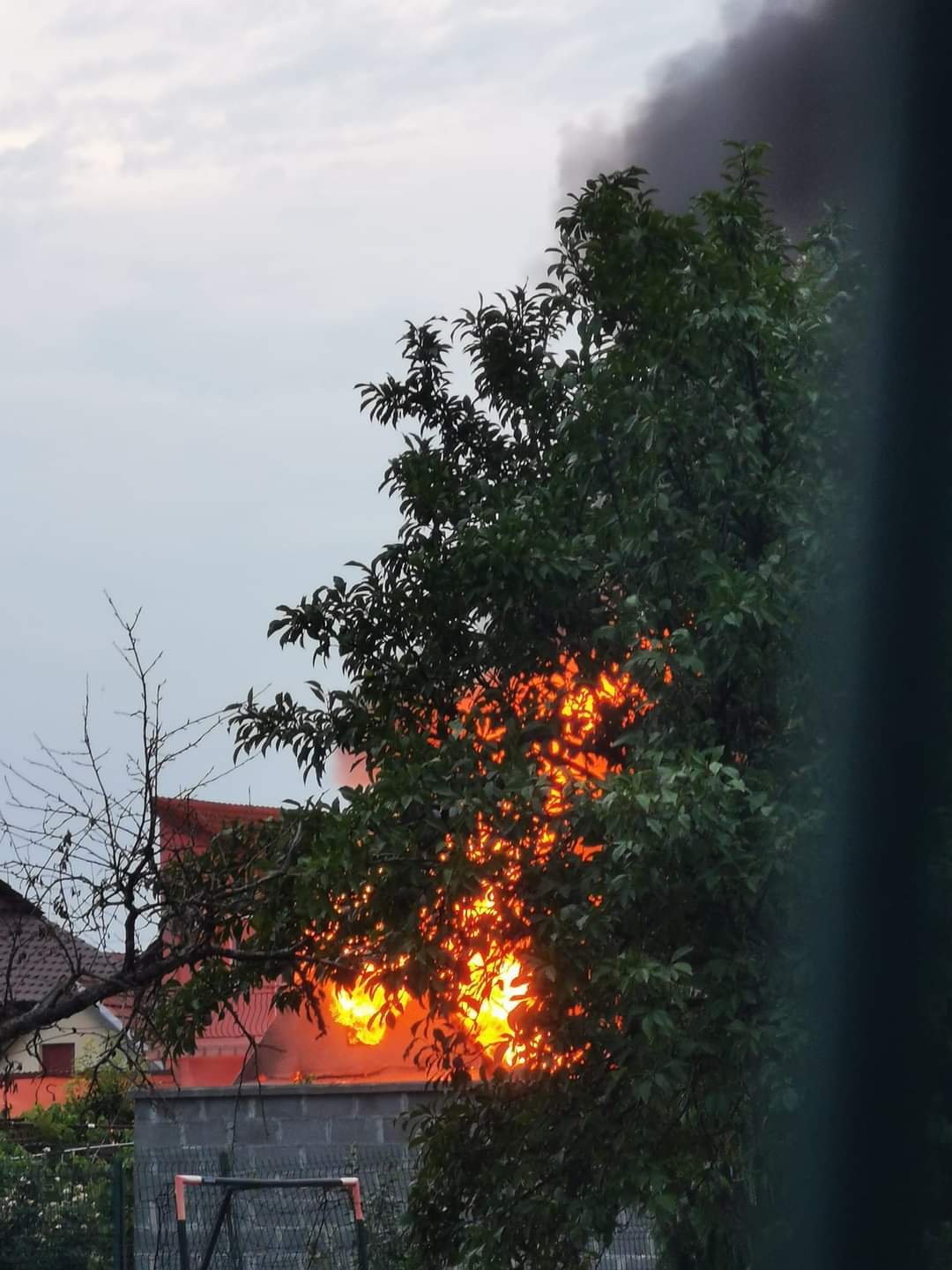 Incendiu la anexa unei case, în Grădiște 