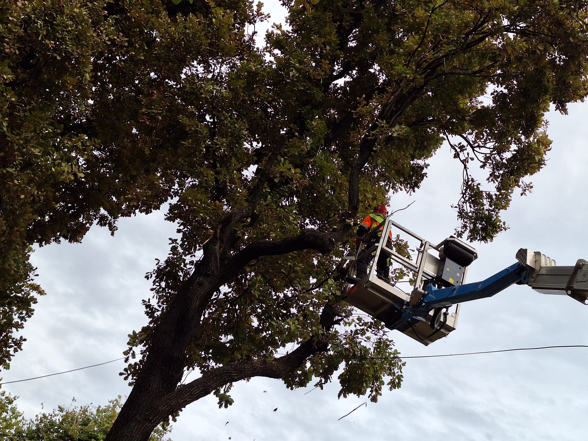 WhatsApp Image 2024-10-03 at 09.33.07