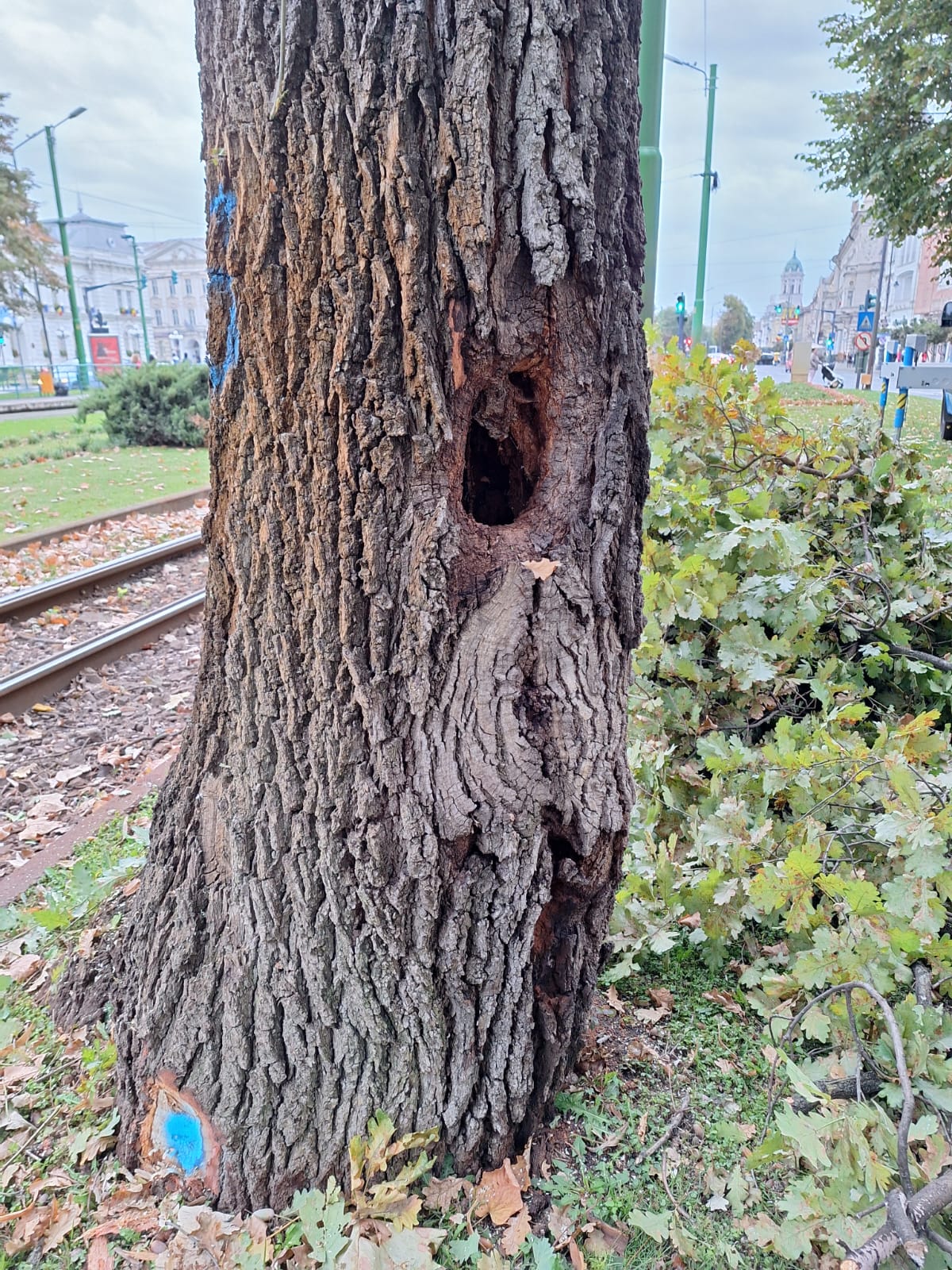 WhatsApp Image 2024-10-03 at 09.31.56