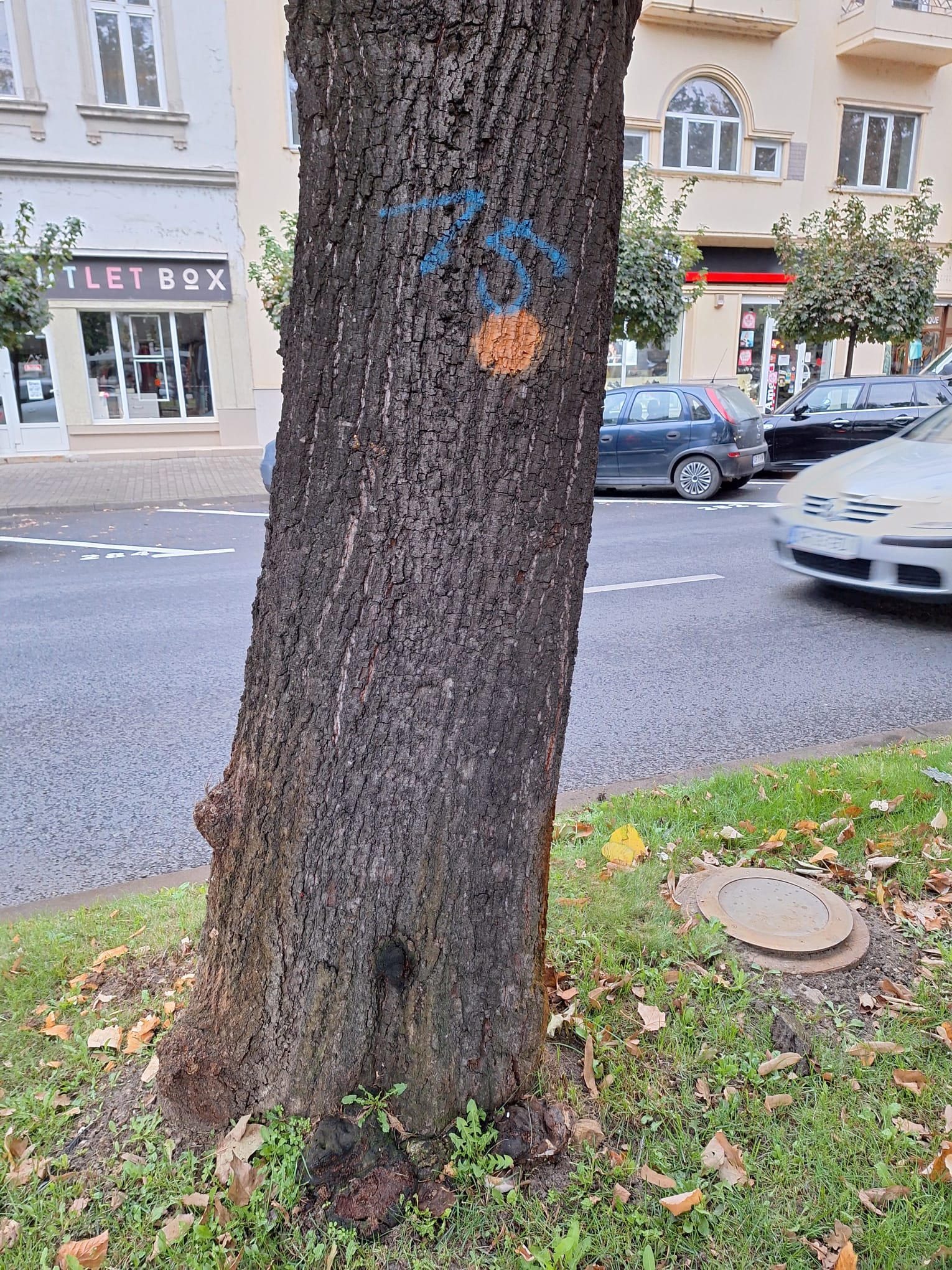 WhatsApp Image 2024-10-03 at 09.31.57 (2)