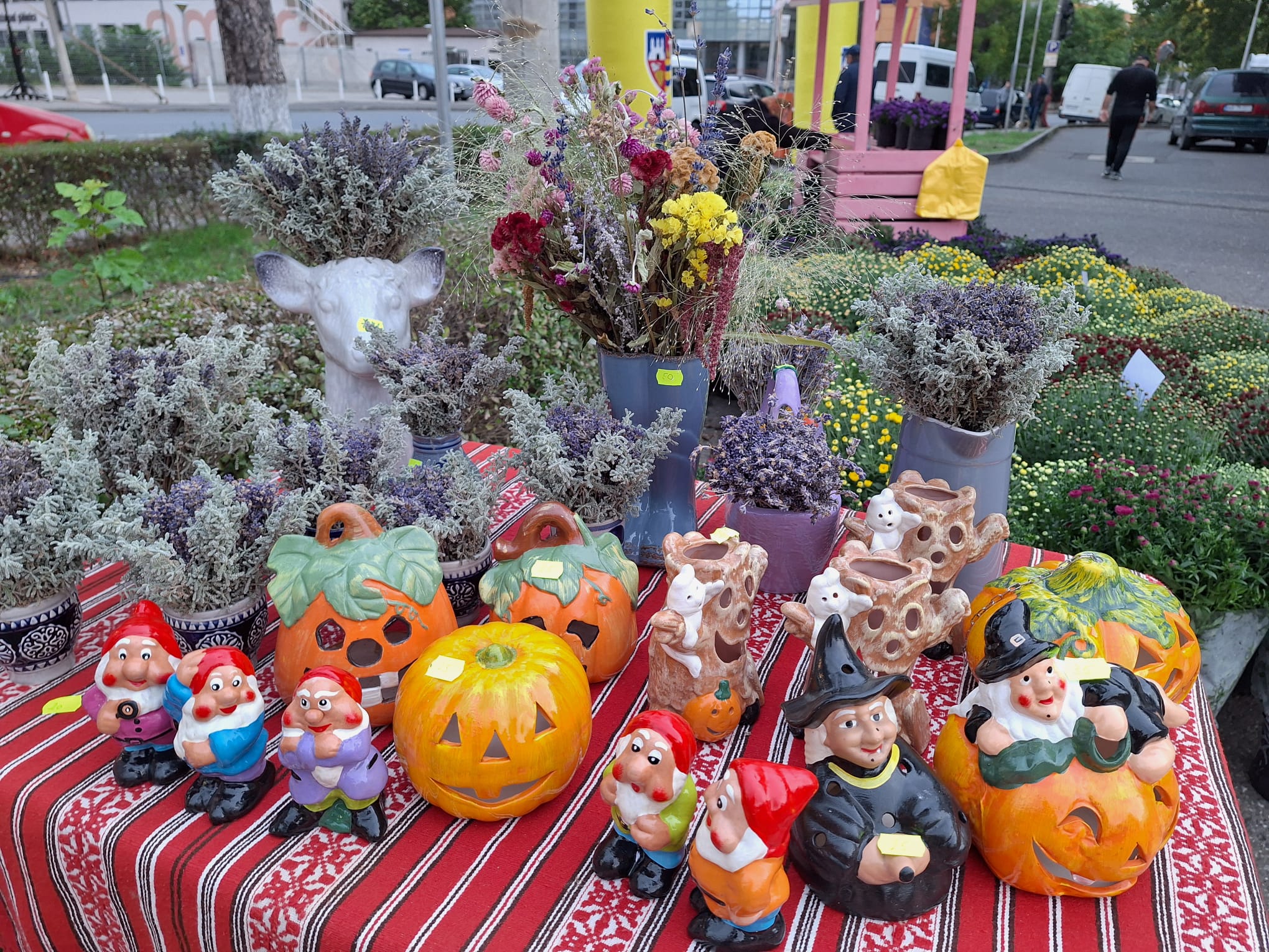 WhatsApp Image 2024-10-05 at 5.25.12 PM (1)