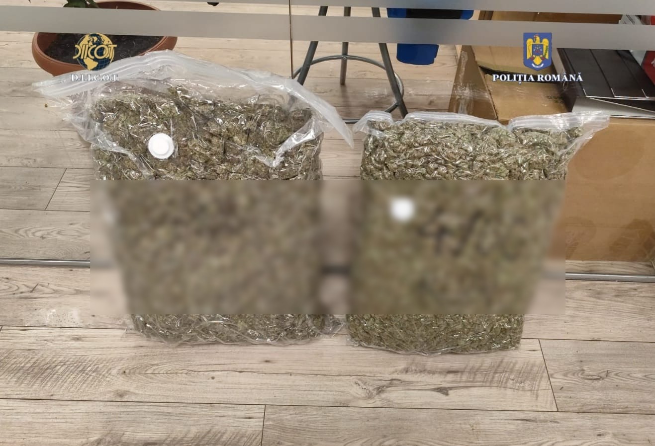 Bărbat de 70 de ani, prins cu 9 kilograme de canabis, la Șagu