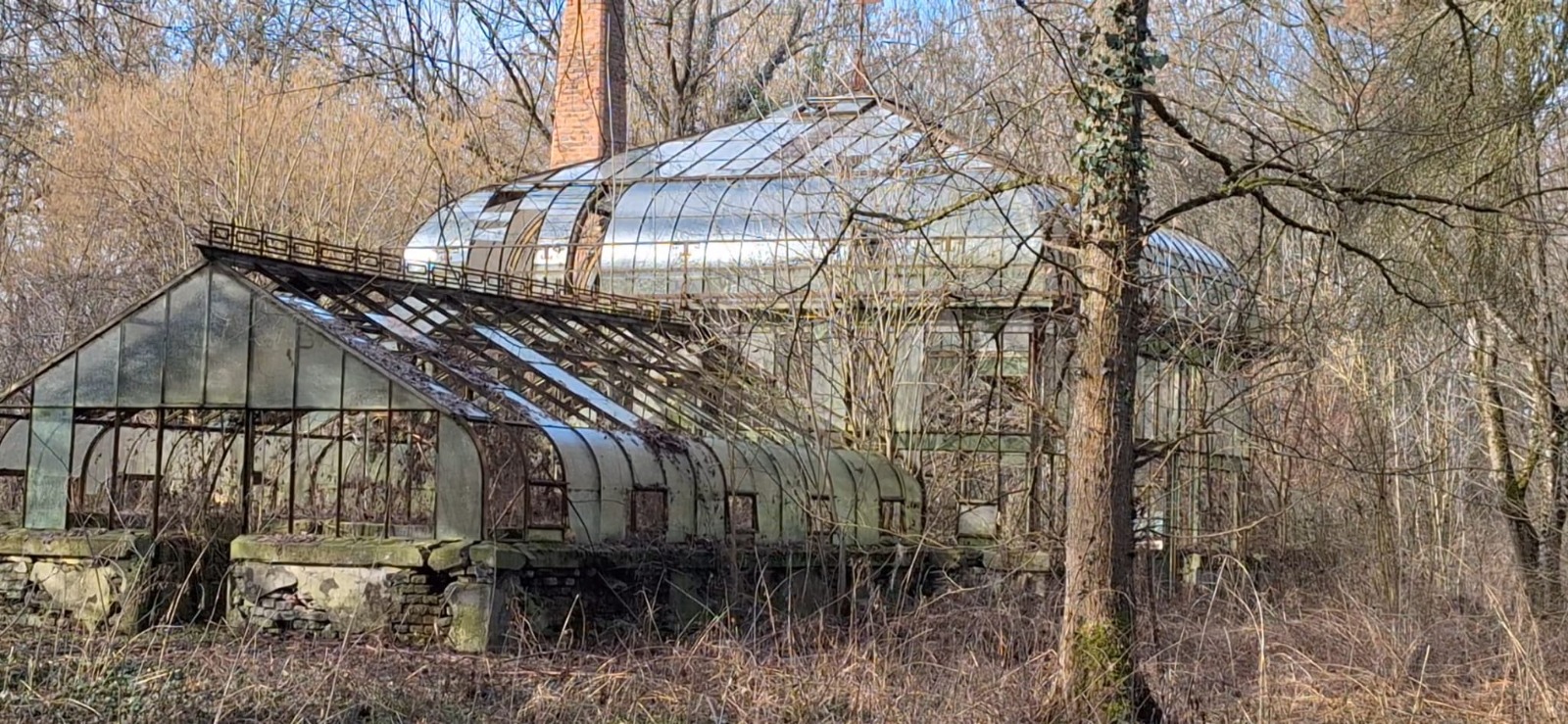 WhatsApp Image 2025-02-18 at 12.15.57 (3)