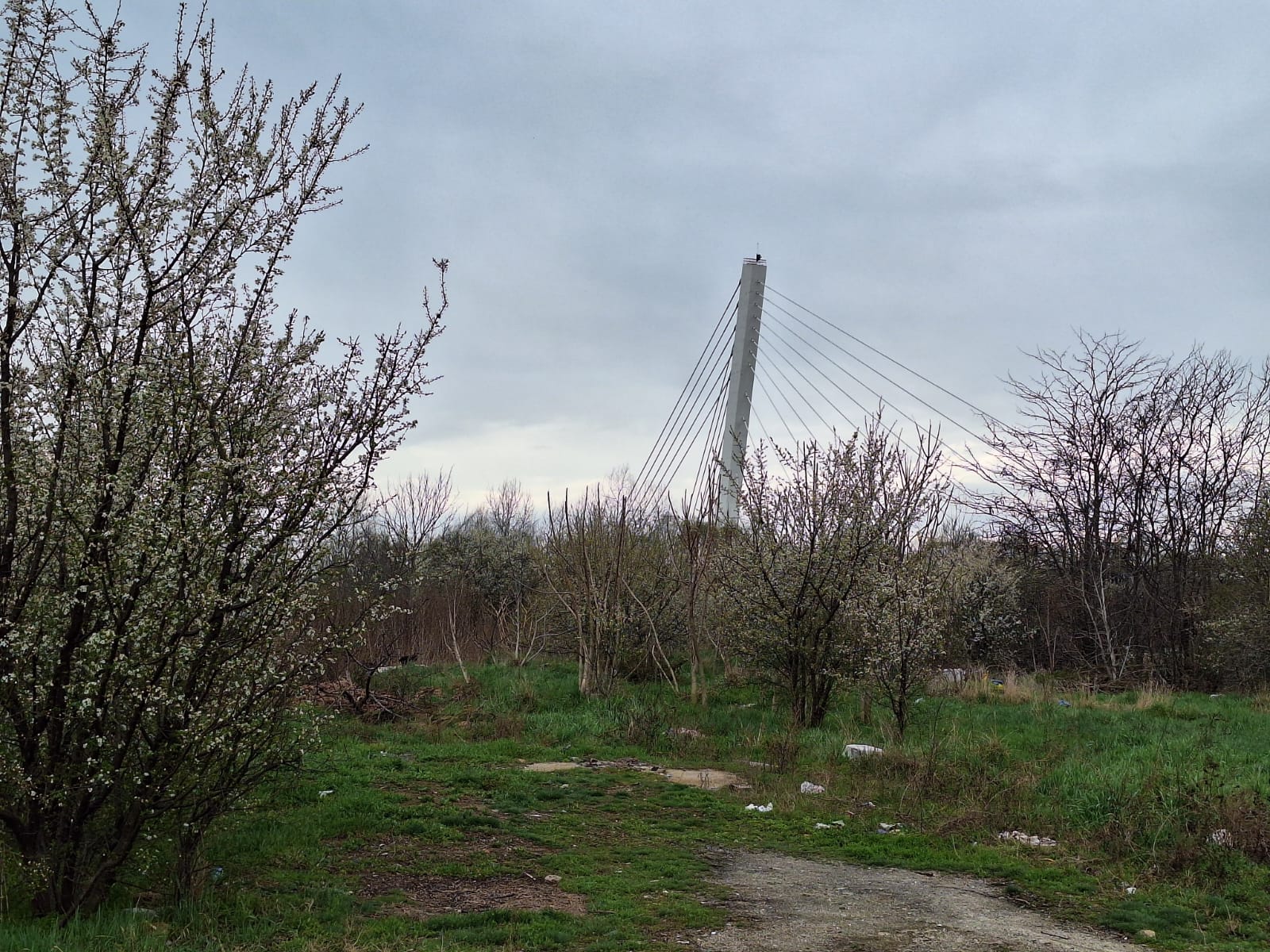 WhatsApp Image 2025-03-24 at 12.35.26