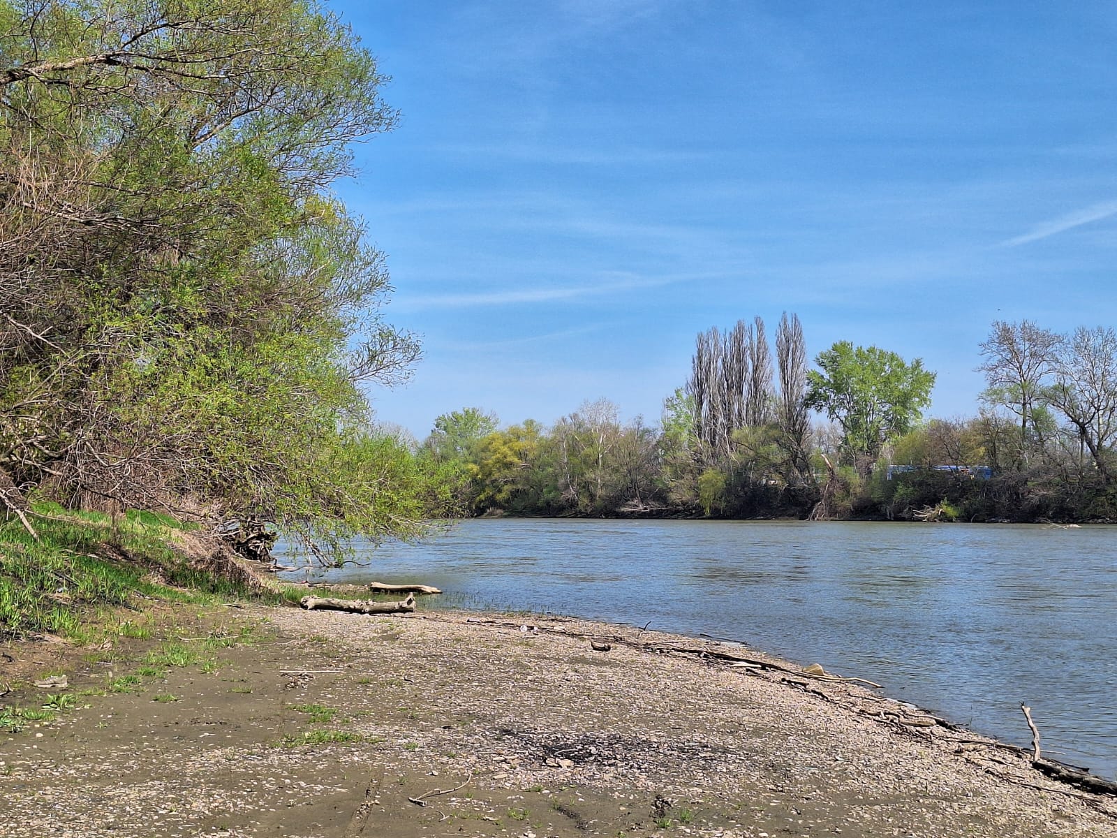 6ad79d94-ea2a-4a80-9f24-9b5c2ec09564