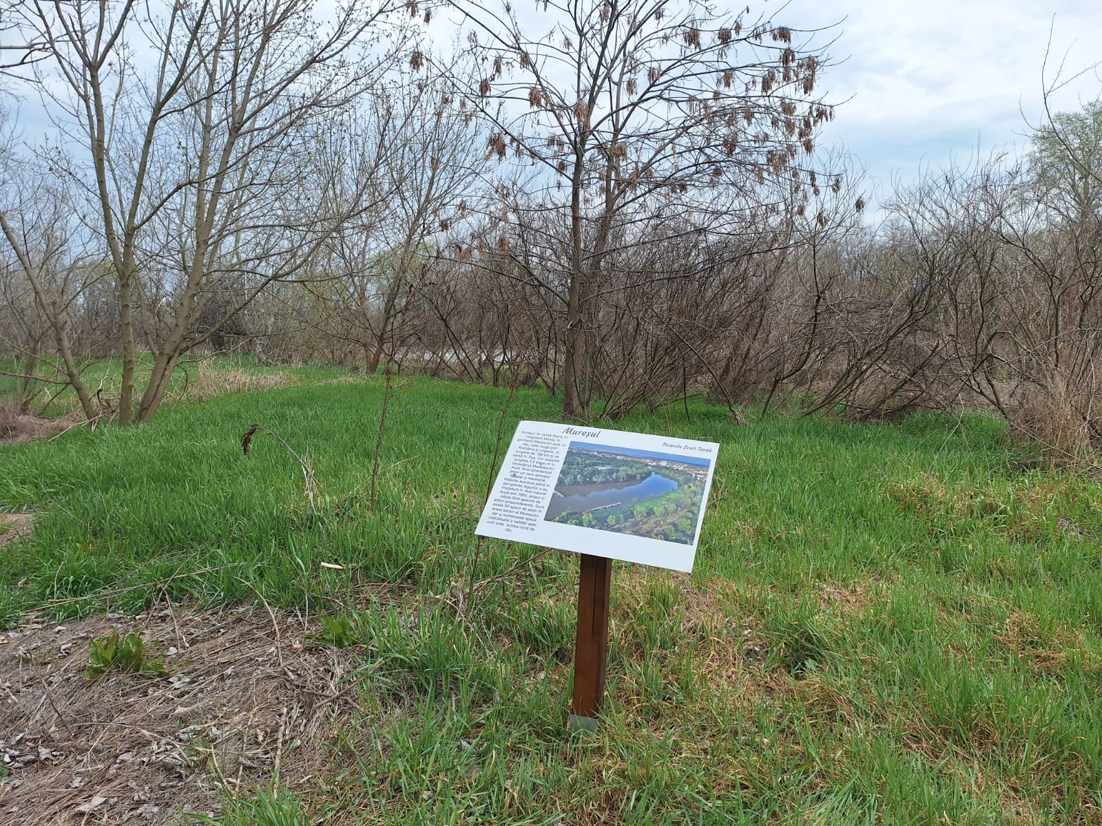 6d5fd285-b04f-49c3-bacf-a2f2f523de4d