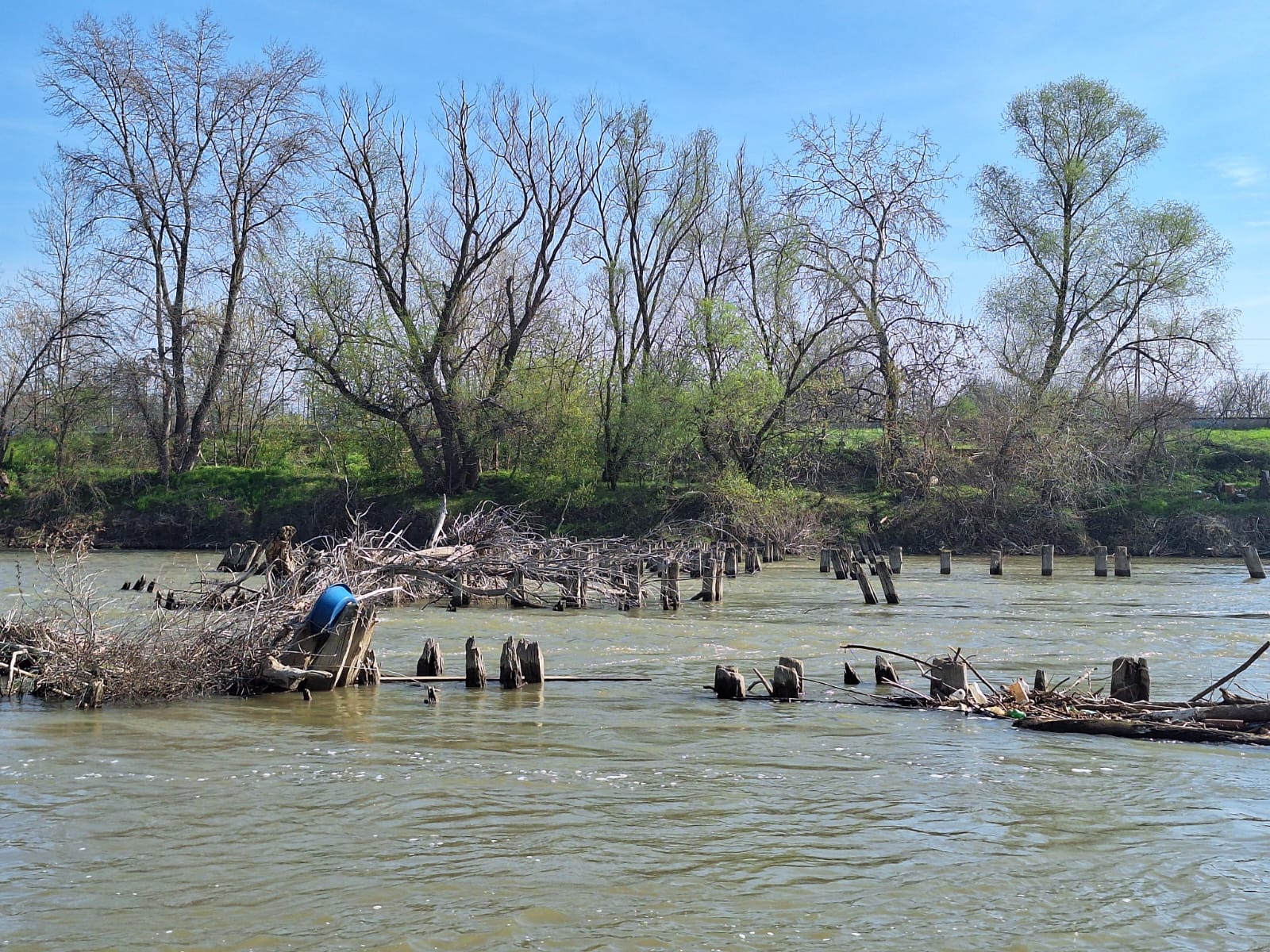 6daf0cab-1590-46bb-a9f3-f7cafca40b03