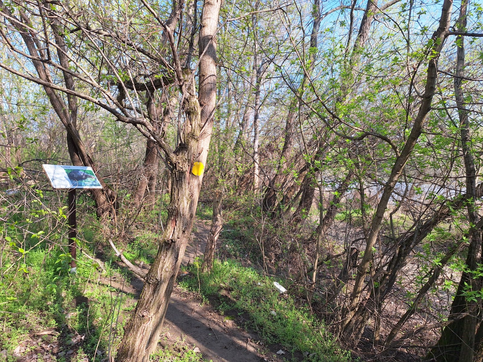 6e9154b8-c263-4565-bc47-0dfd1c2cabe0