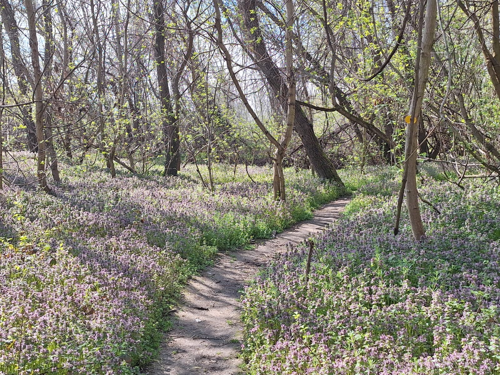 6f08c072-7e2e-4beb-b90b-c945cc2ae1a4