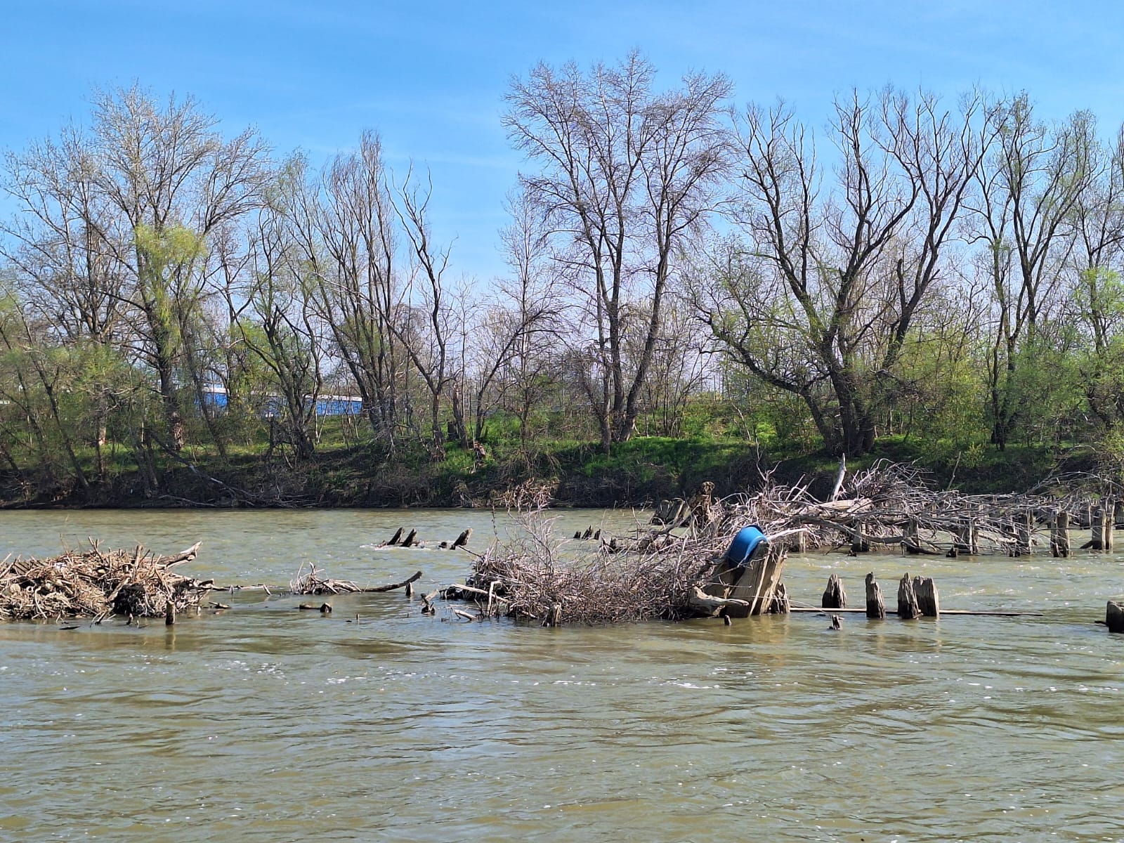 7c5fb01e-bdab-4f74-a3bd-faeb63164228