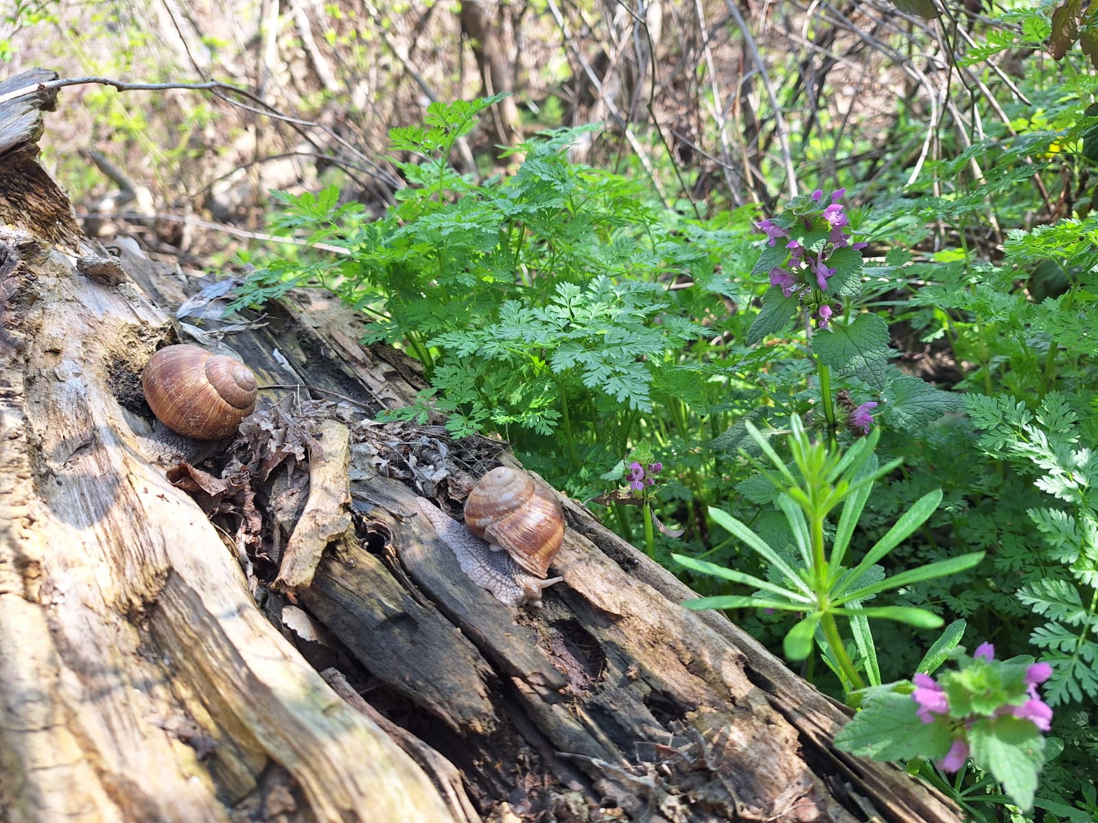 7d82550d-9578-4881-945b-c89612d496ae